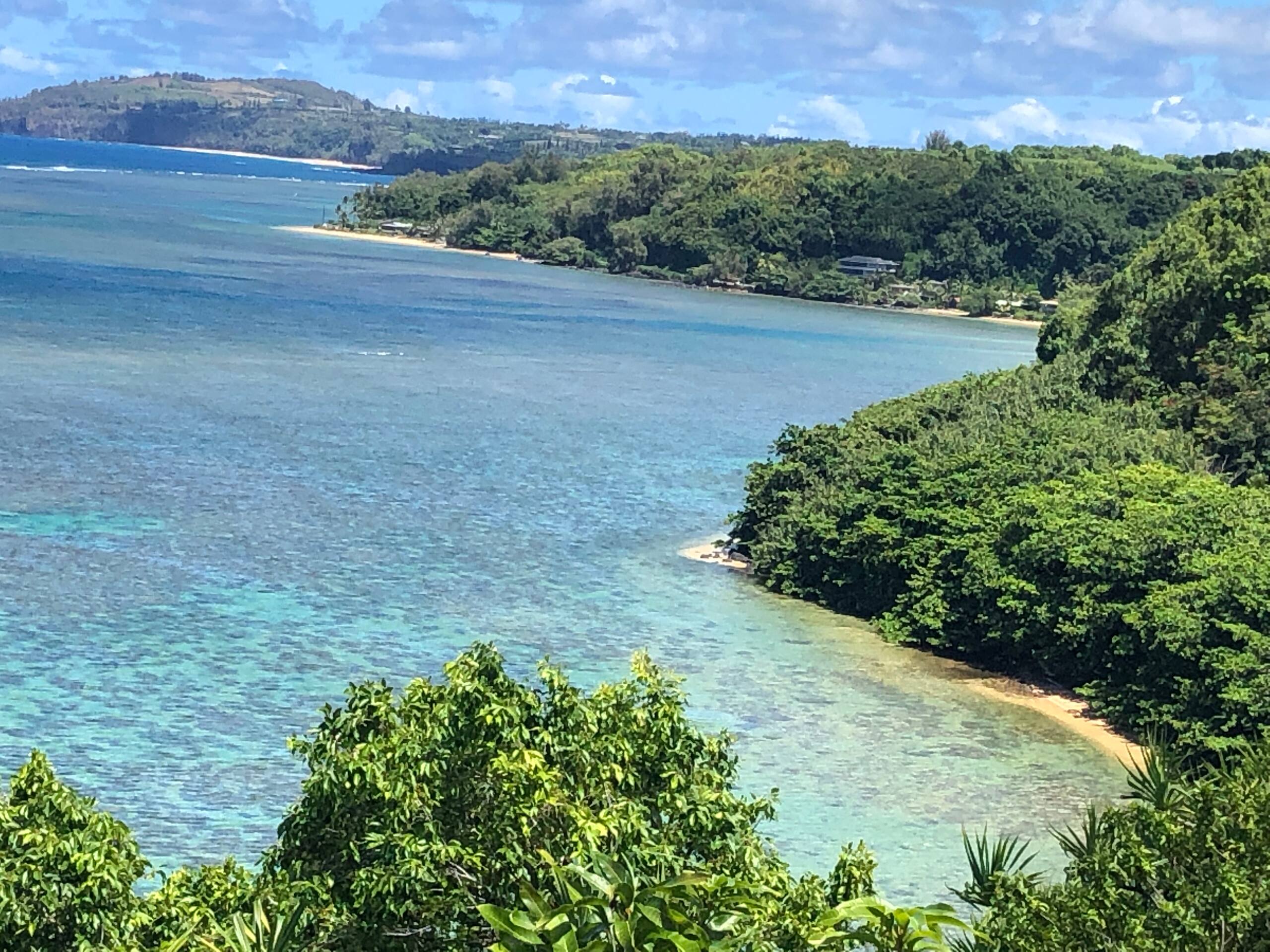 Condo in Princeville · ★4.81 · 1 bedroom · 2 beds · 1 bath - Image 18