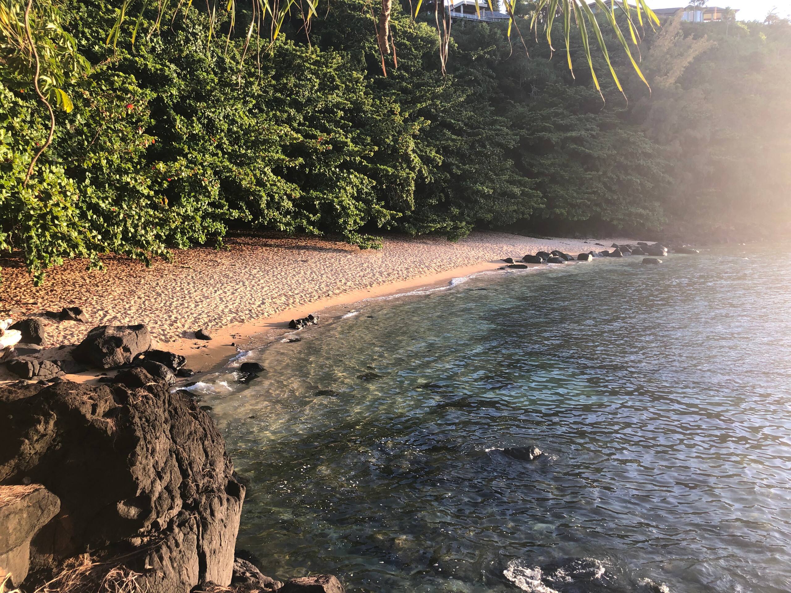 Condo in Princeville · ★4.81 · 1 bedroom · 2 beds · 1 bath - Image 16