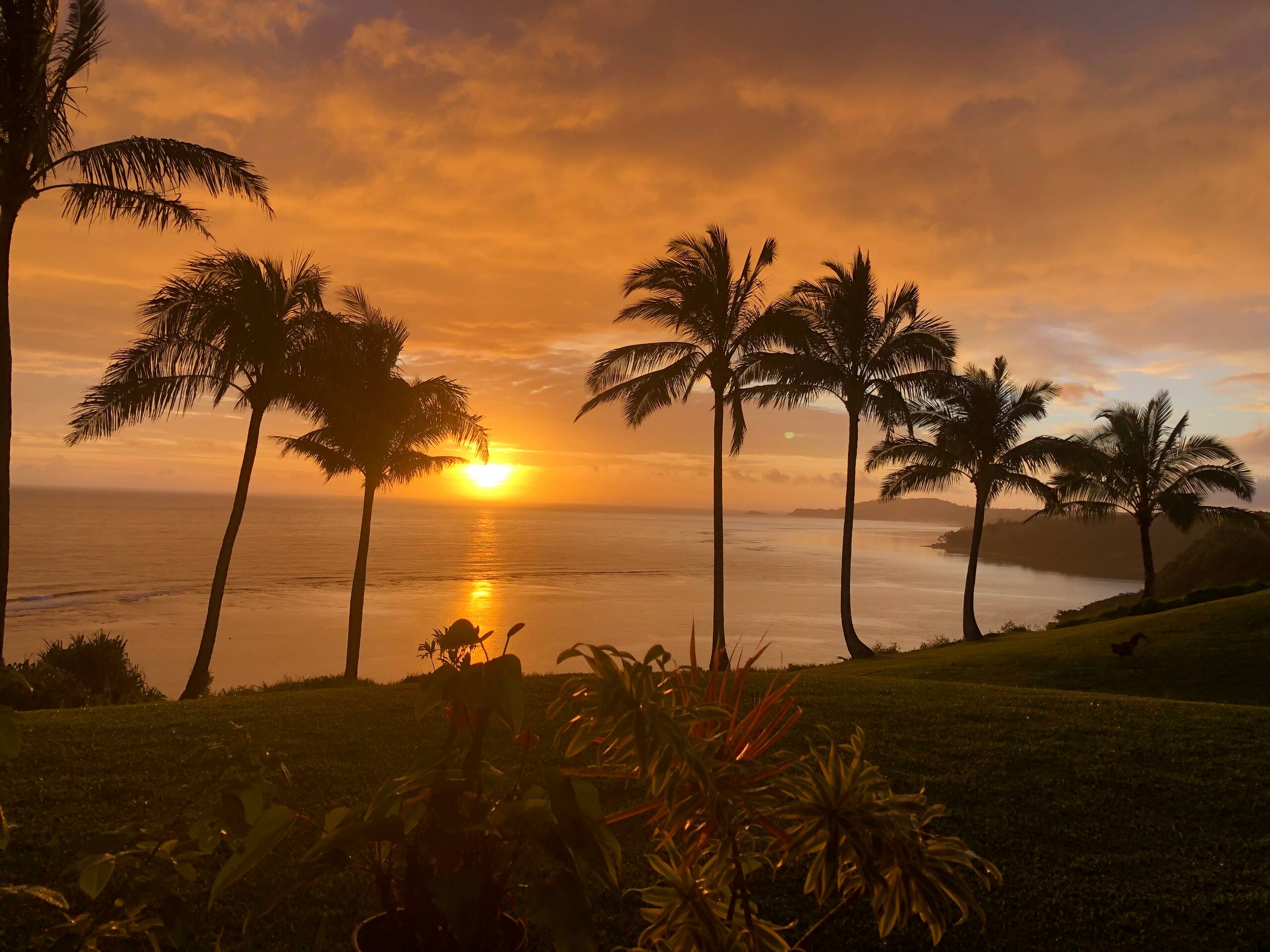 Condo in Princeville · ★4.81 · 1 bedroom · 2 beds · 1 bath - Image 22