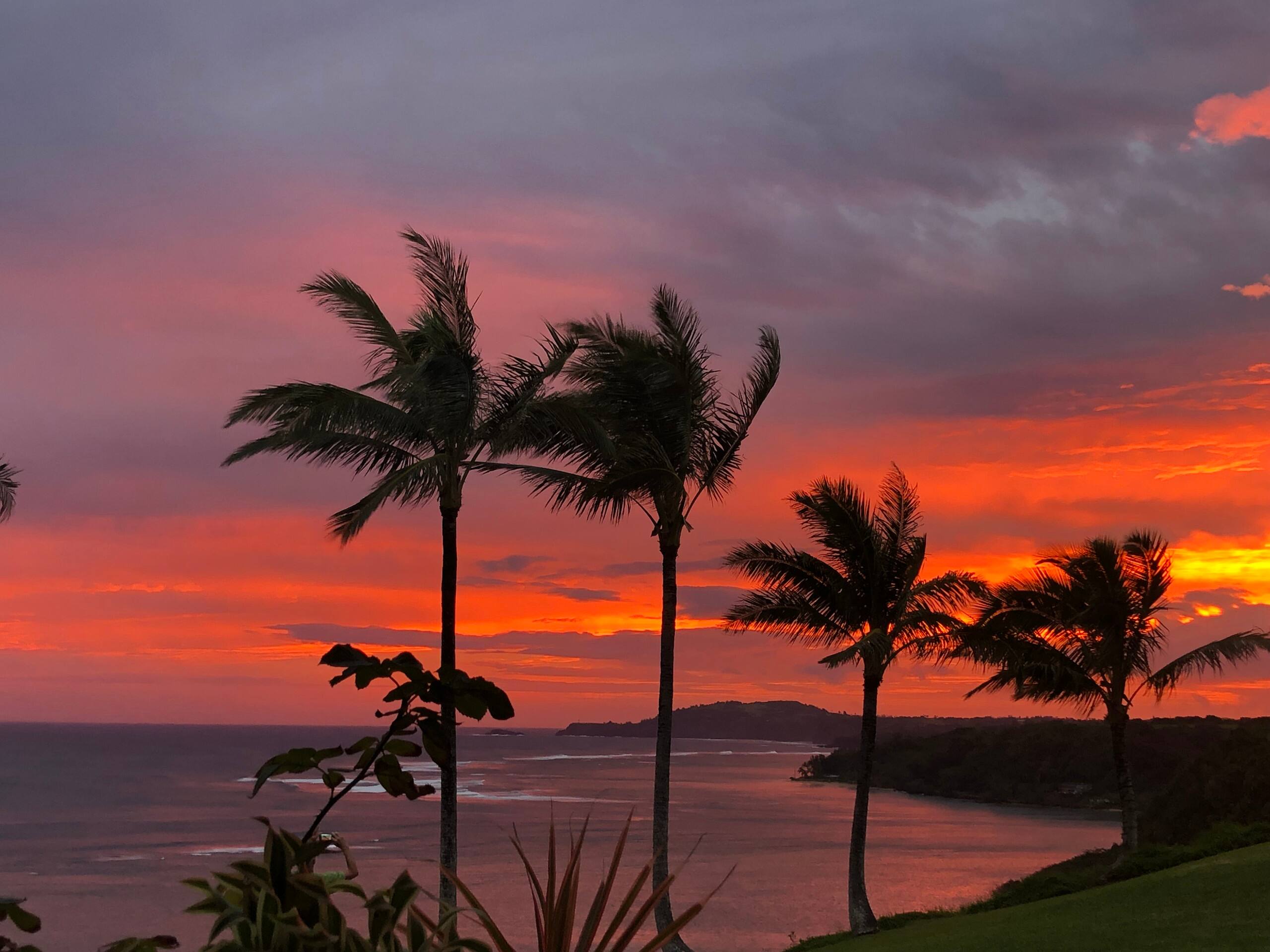 Condo in Princeville · ★4.81 · 1 bedroom · 2 beds · 1 bath - Image 14