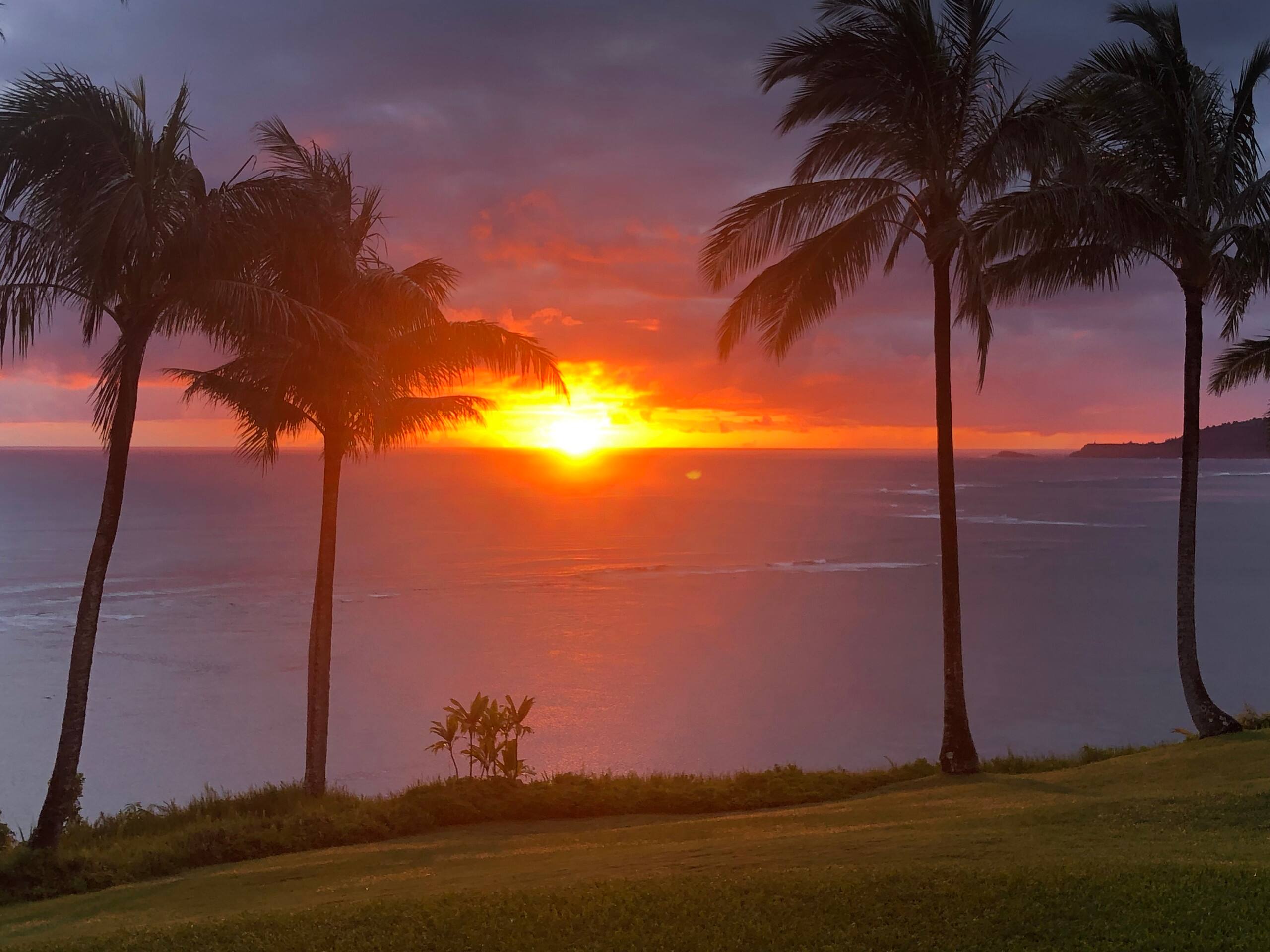 Condo in Princeville · ★4.81 · 1 bedroom · 2 beds · 1 bath - Image 19