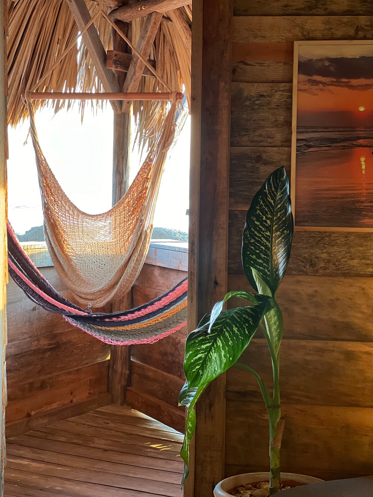 A cozy balcony area is highlighted by a handmade hammock suspended between wooden beams. A green potted plant adds a touch of nature to the space, while a sunset photograph on the wall complements the warm tones of the wooden interior.