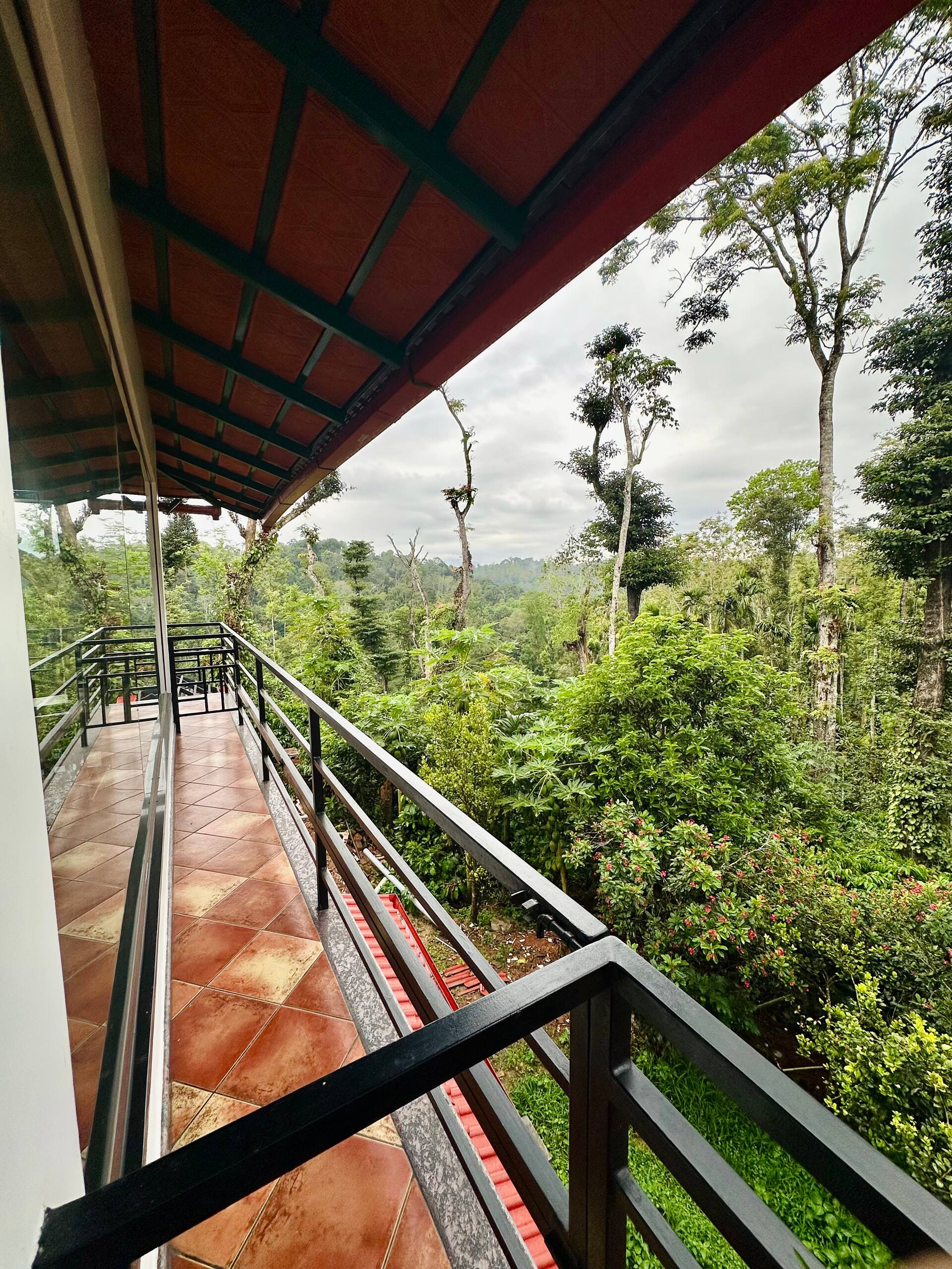 The Woods - Coorg