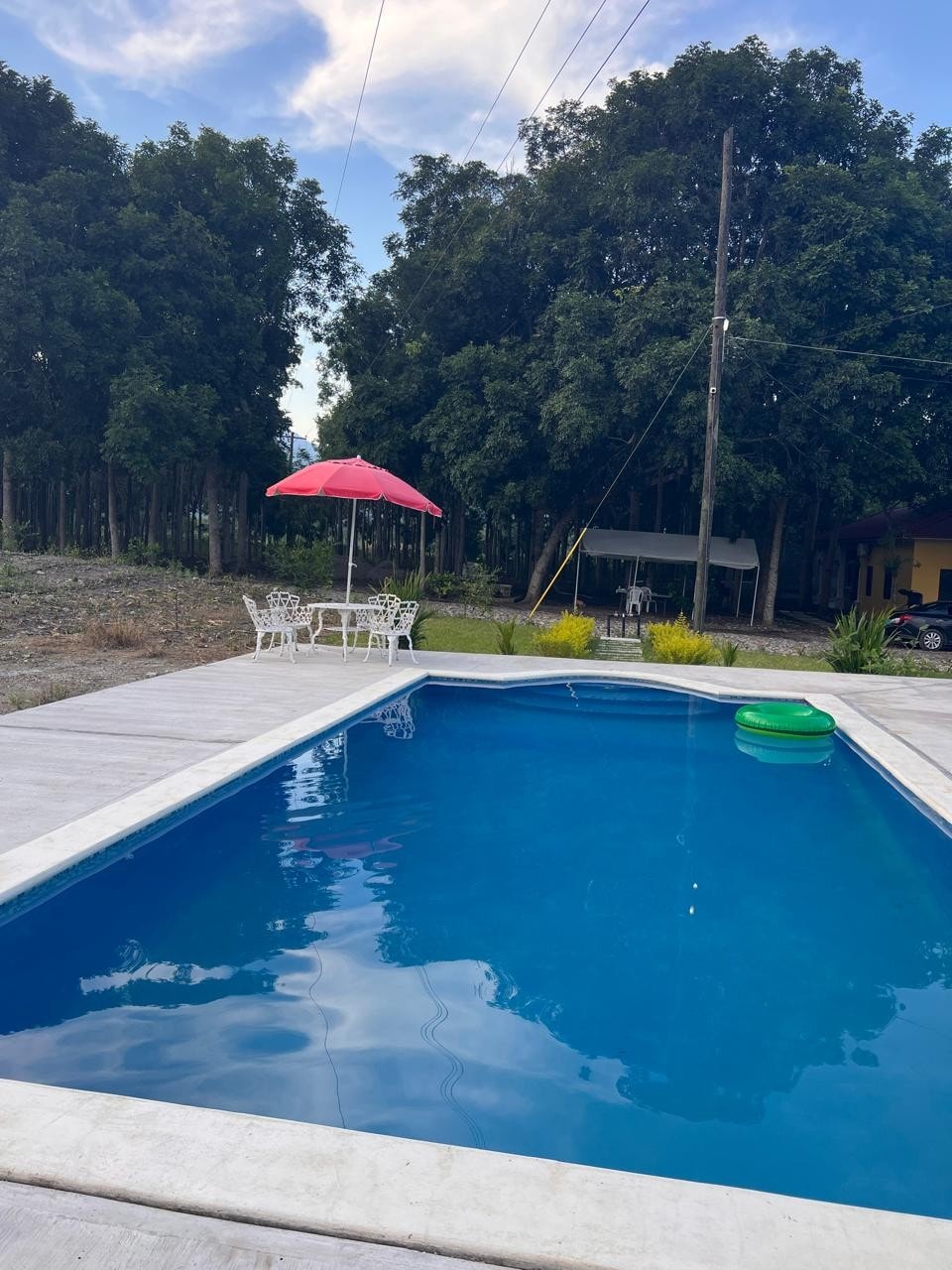 A refreshing swimming pool sits surrounded by concrete decking, complemented by a vibrant red umbrella and white outdoor chairs. Lush trees provide a natural backdrop, enhancing the serene outdoor setting. The pool's clear blue water reflects the sky, inviting relaxation.