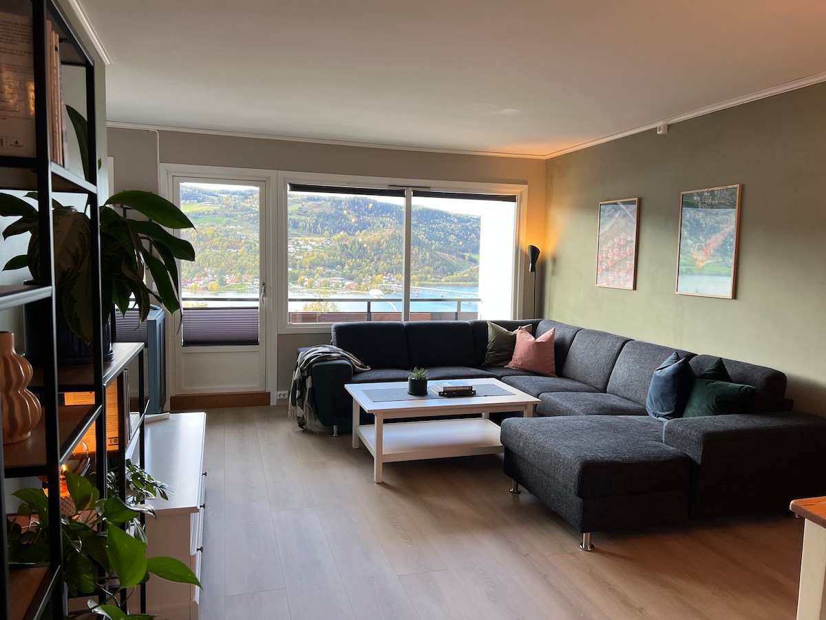 Penthouse Apartments For Rent In Lillehammer