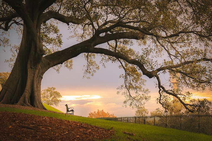 Waterview terrace in rock