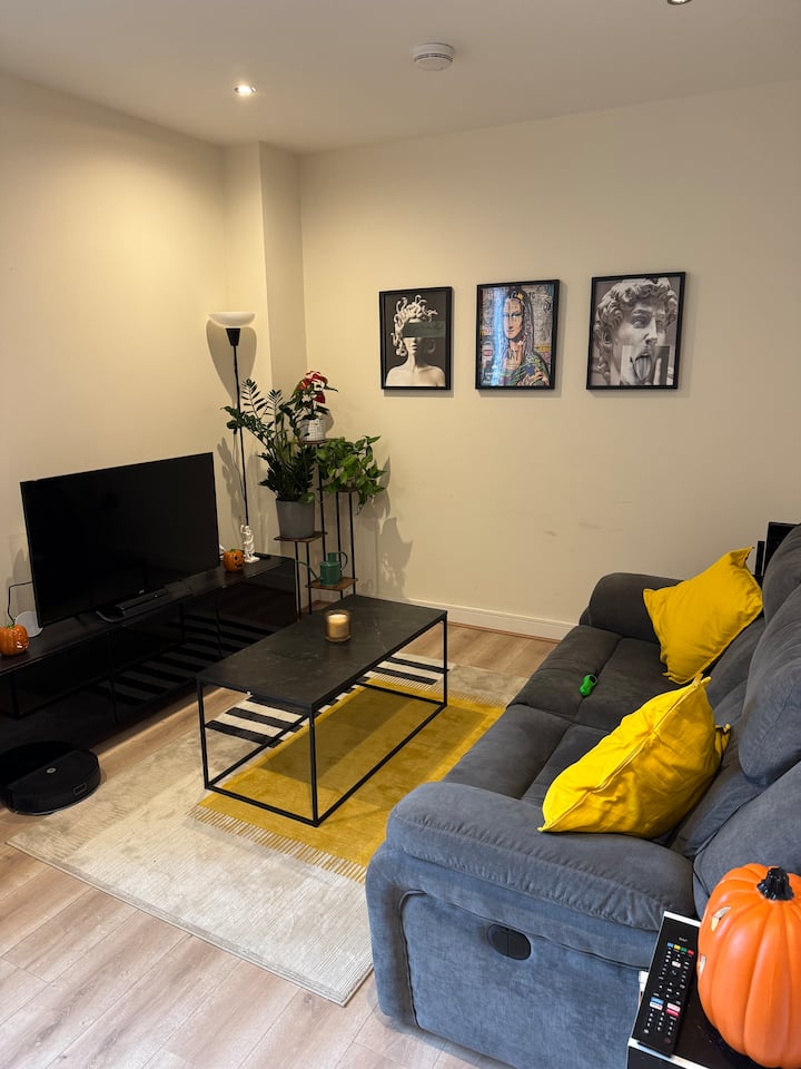 Modern Comfort Central - Private Bathroom - Dublin