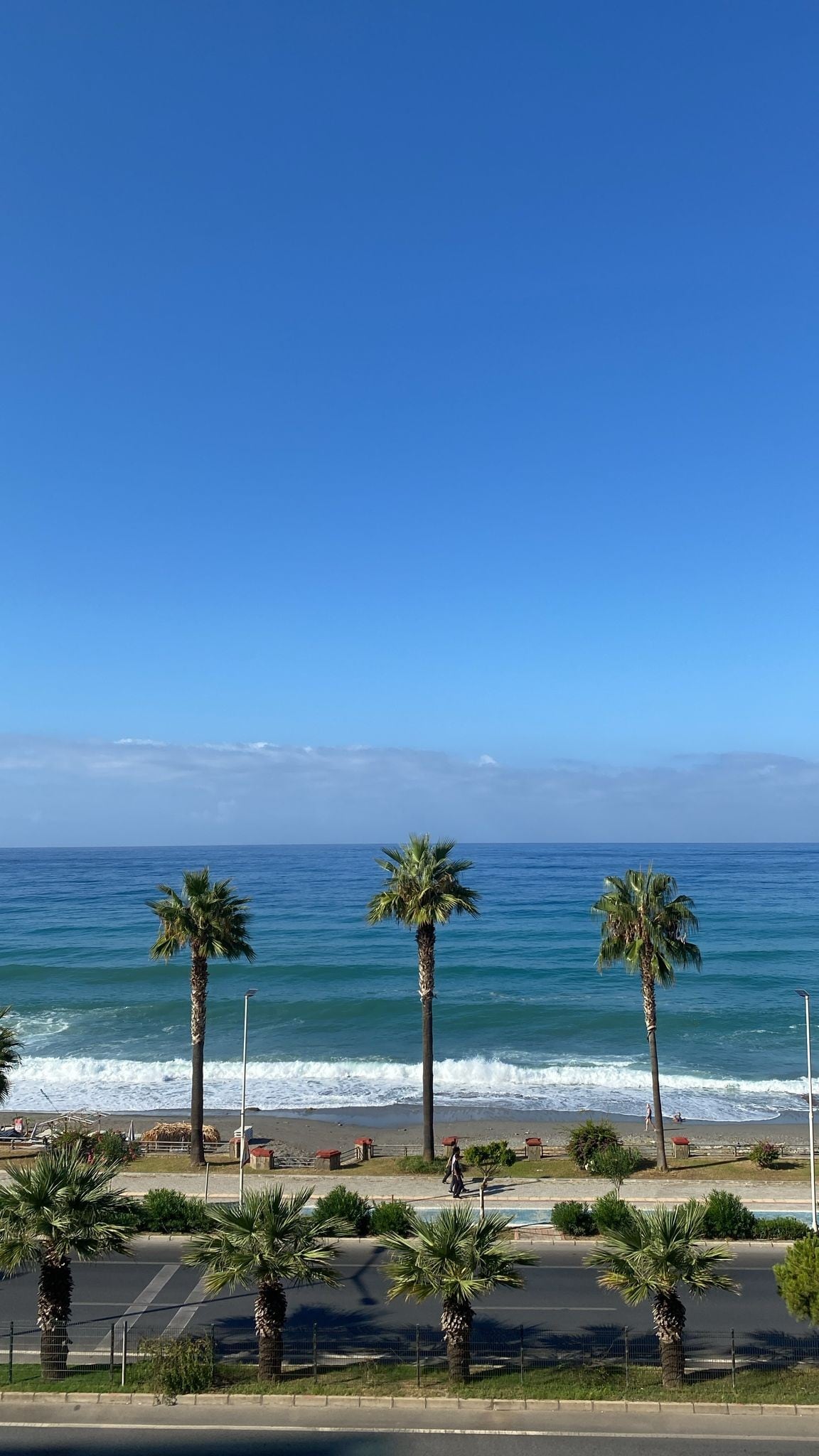 A view of the coastline is presented, with three tall palm trees framing the scene. Gentle waves roll toward the shore under a clear blue sky, creating a serene atmosphere. A well-maintained walkway runs parallel to the beach, bordered by lush greenery.