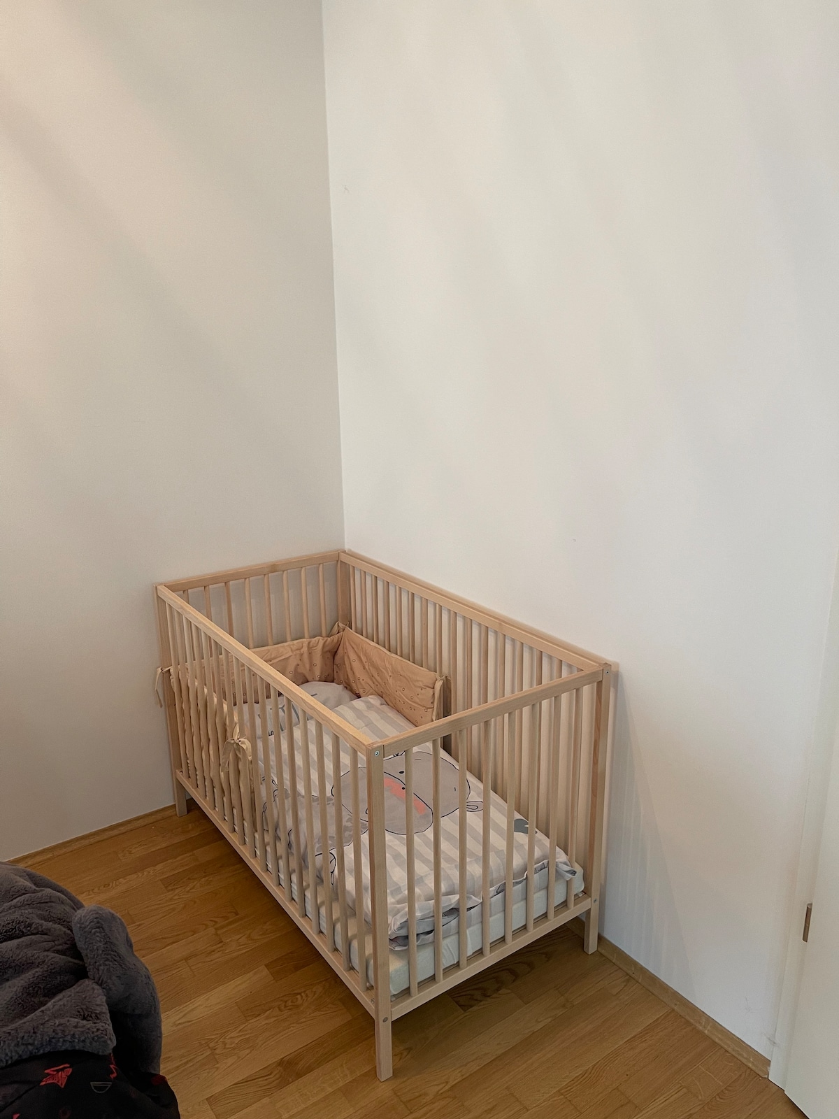 Luxury city apartment in Munich