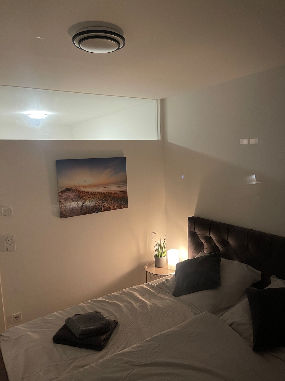 Luxury city apartment in Munich