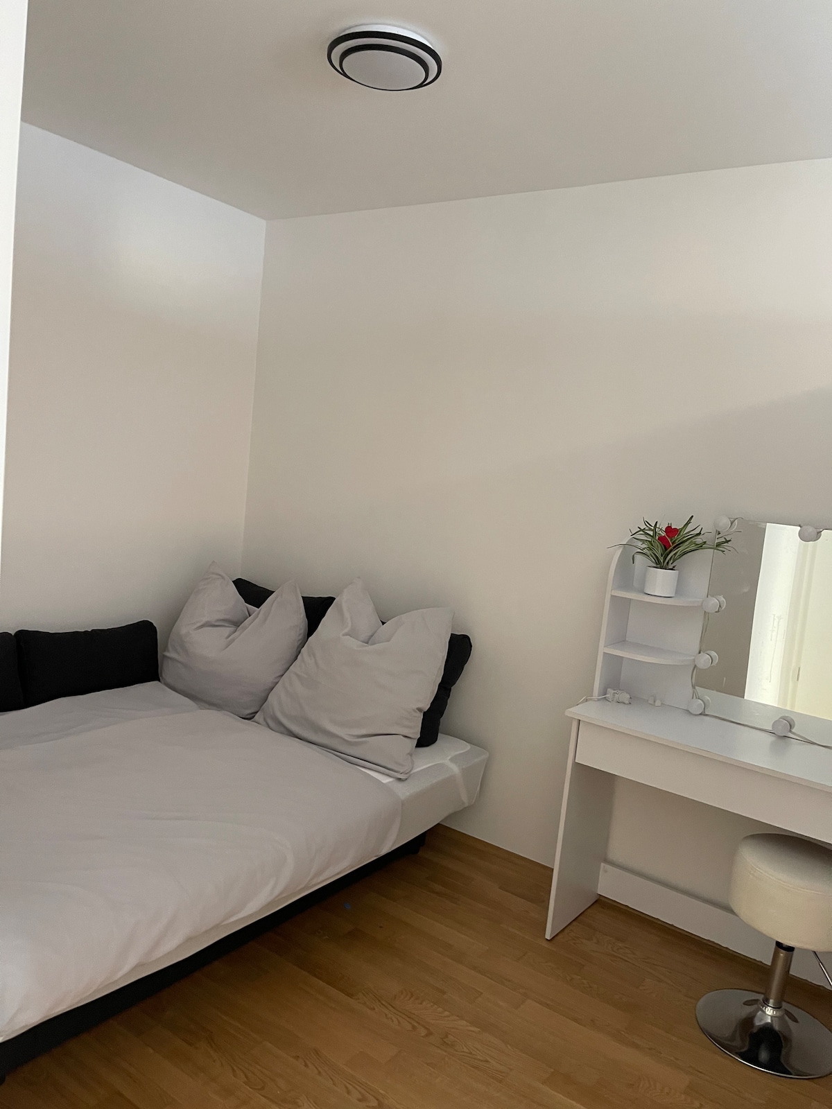 Luxury city apartment in Munich
