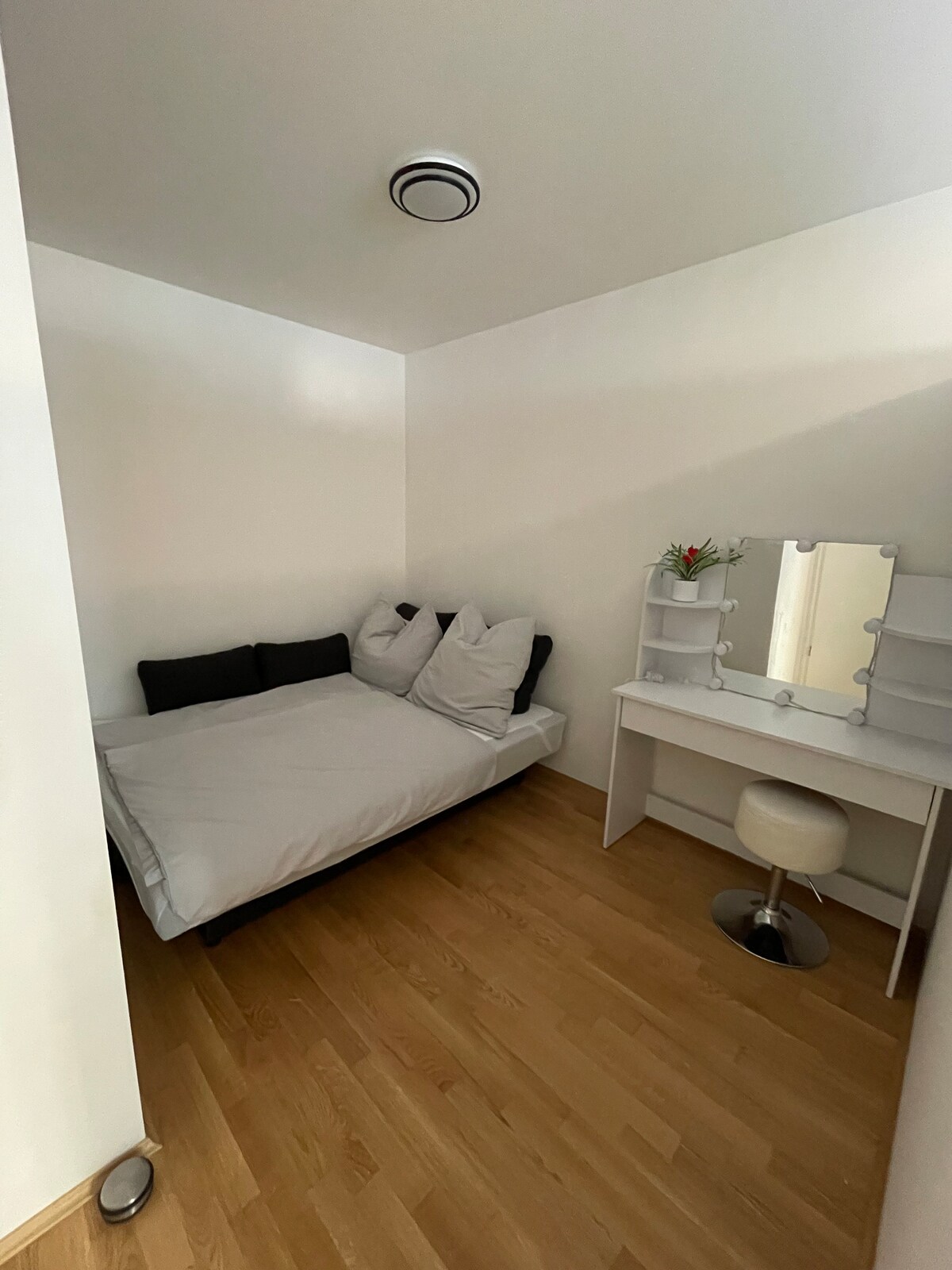 Luxury city apartment in Munich