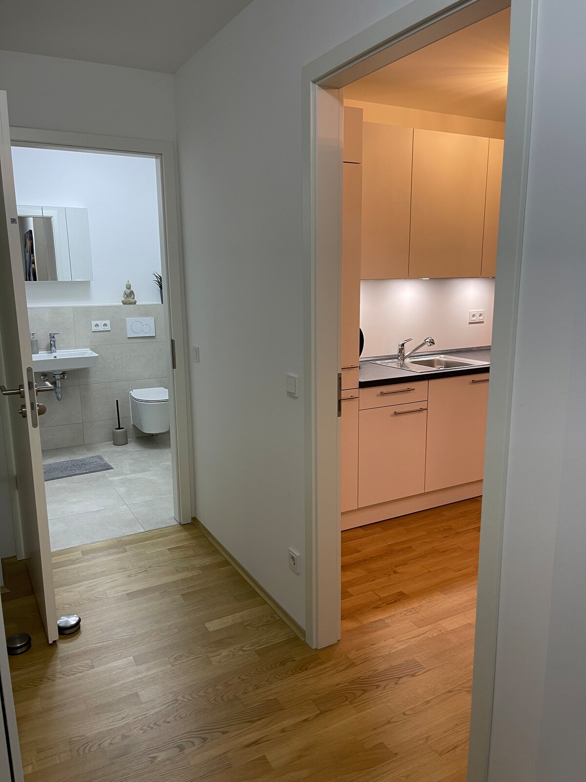 Luxury city apartment in Munich