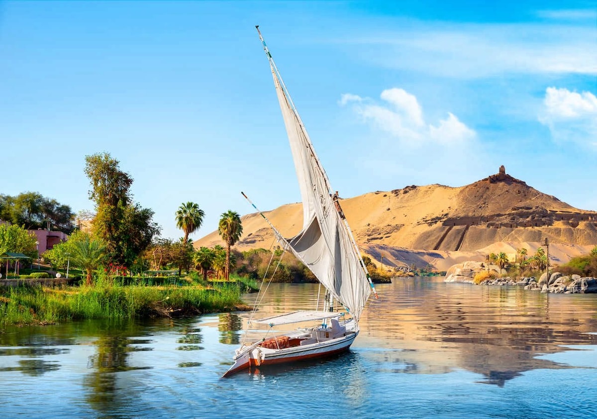 A traditional Felouque glides gracefully along the tranquil waters of the Nile. Lush greenery and palm trees frame the riverbank, while the backdrop features sandy hills under a clear blue sky. The boat's white sails catch the gentle breeze, enhancing the serene landscape.