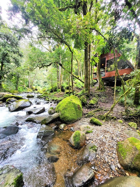 Unicorn Chalet : A Riverfront Quetzal Paradise !