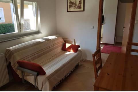 Top performing Airbnb: Zagreb Minihouse in Sesvete