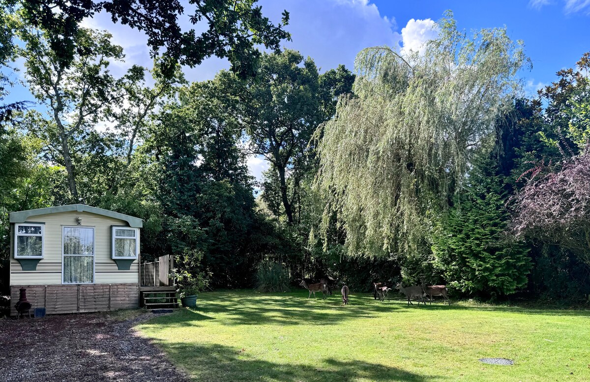A static caravan is situated on a grassy area surrounded by trees. The lawn features a variety of greenery, including mature trees and bushes. In the distance, deer can be seen grazing peacefully in the garden, enhancing the natural setting of the property.