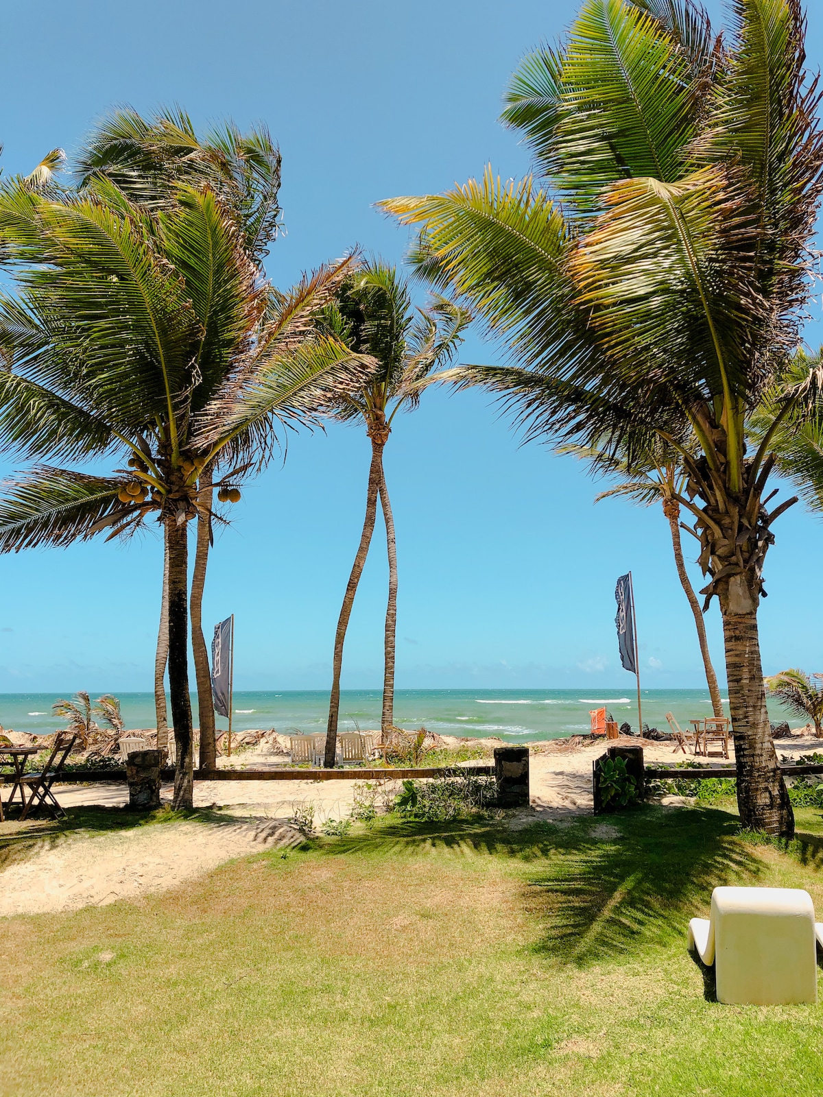 Tall palm trees sway gently in the breeze, framing a view of the ocean. The sandy beach is visible beyond a grassy area, with multiple seating options for relaxing and enjoying the coastal landscape. Clear blue skies complement the tranquil atmosphere.