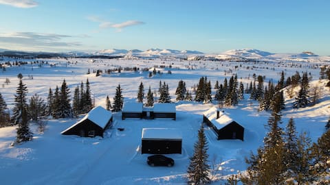Spa Cabin with Ski In/Out |Near Hemsedal| 24 pax