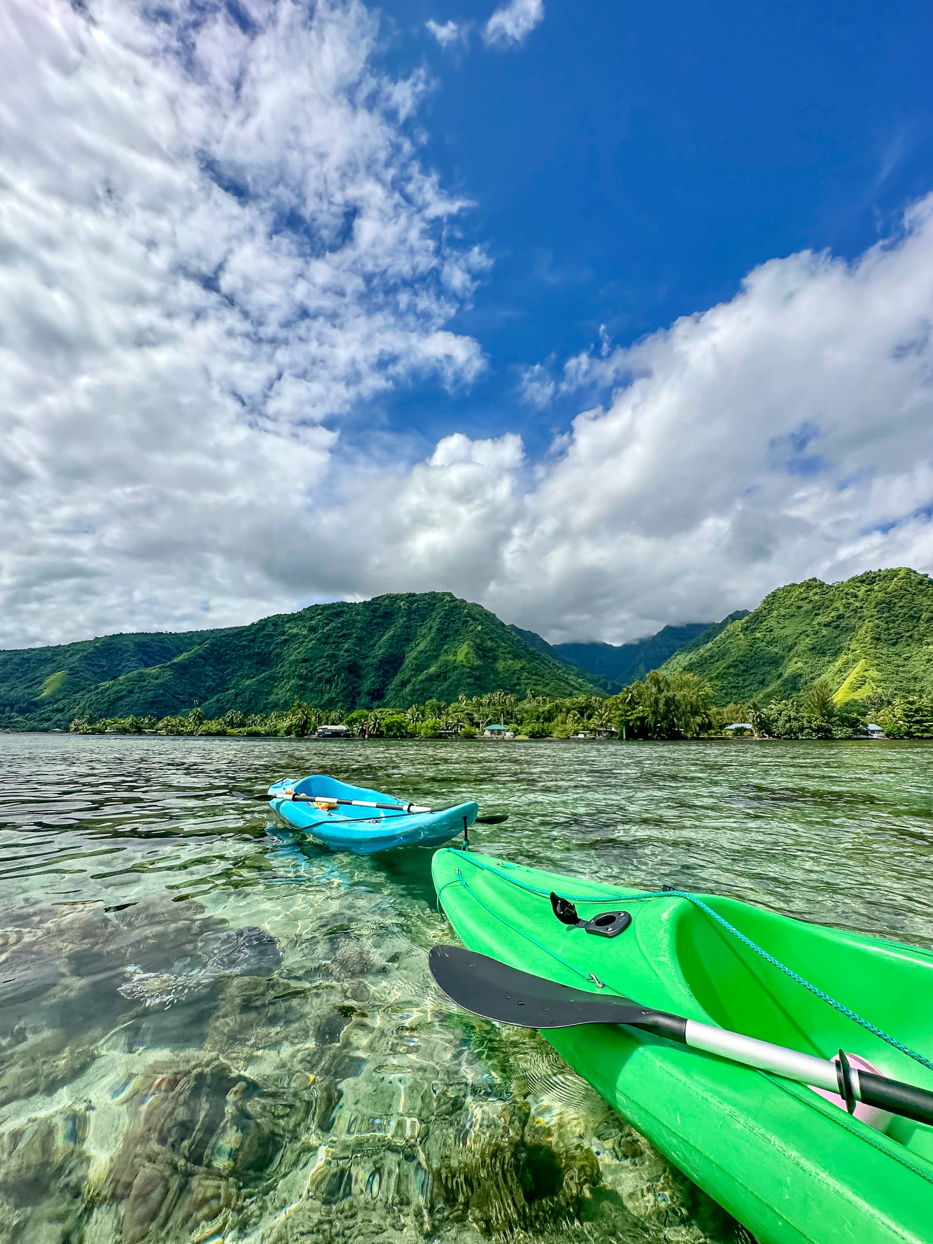 House between Land and Sea in the heart of Teahupo'o