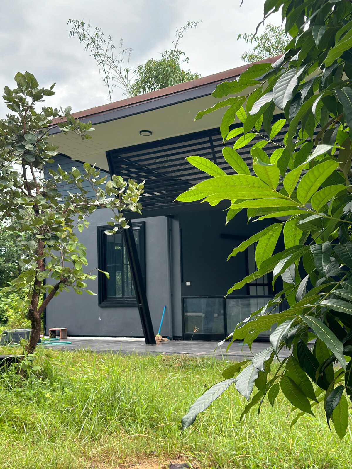 The exterior of a modern building is framed by lush greenery. Large glass doors provide a view into the open interior space, while the dark exterior walls contrast with the surrounding vibrant foliage. A pathway is visible, highlighting the accessible entrance.