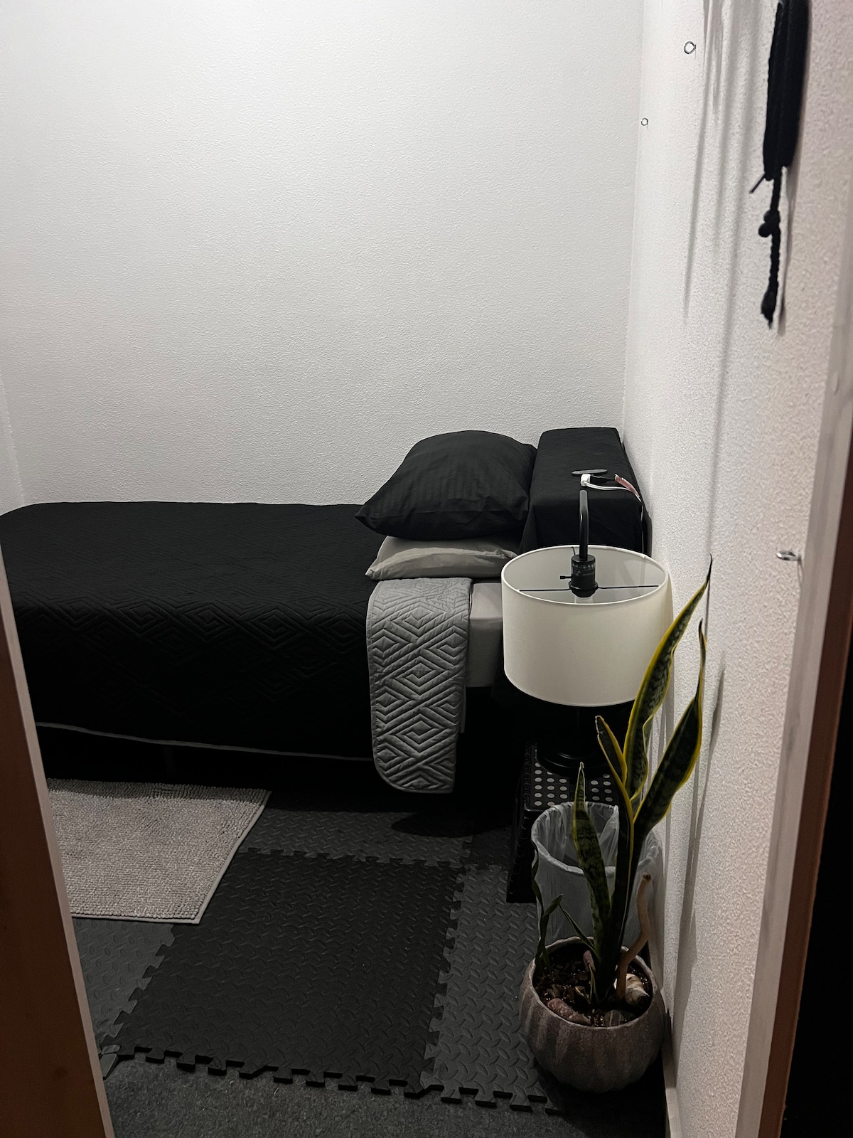 A simple bedroom features a single bed topped with dark bedding and a decorative throw. A bedside table with a lamp is included, along with a small potted plant on the floor. The room is finished with muted walls and a textured rug underfoot.