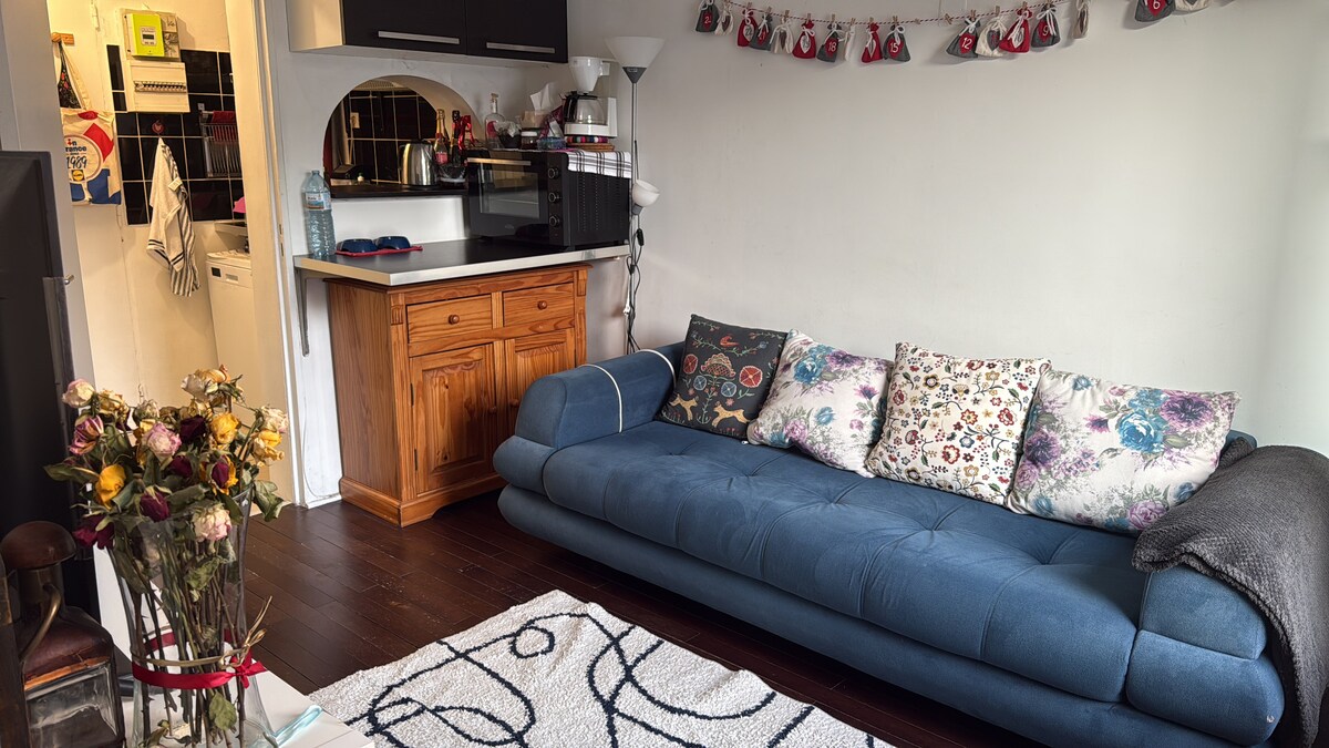 A comfortable living area is depicted with a blue sofa, adorned with floral cushions. A wooden side cabinet and modern kitchen appliances are visible in the background, while a bouquet of flowers and a patterned rug add a touch of warmth to the space.