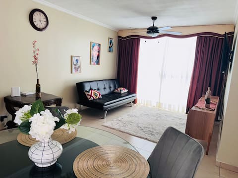 Luxurious central apartment