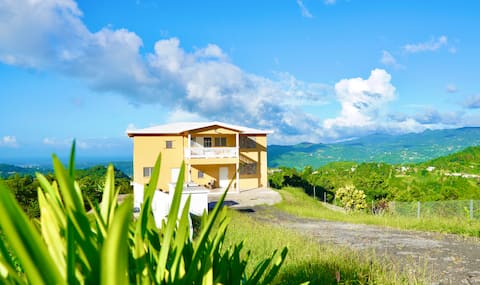 Ocean, City and Rainforest Views @Casa Ana Hilda