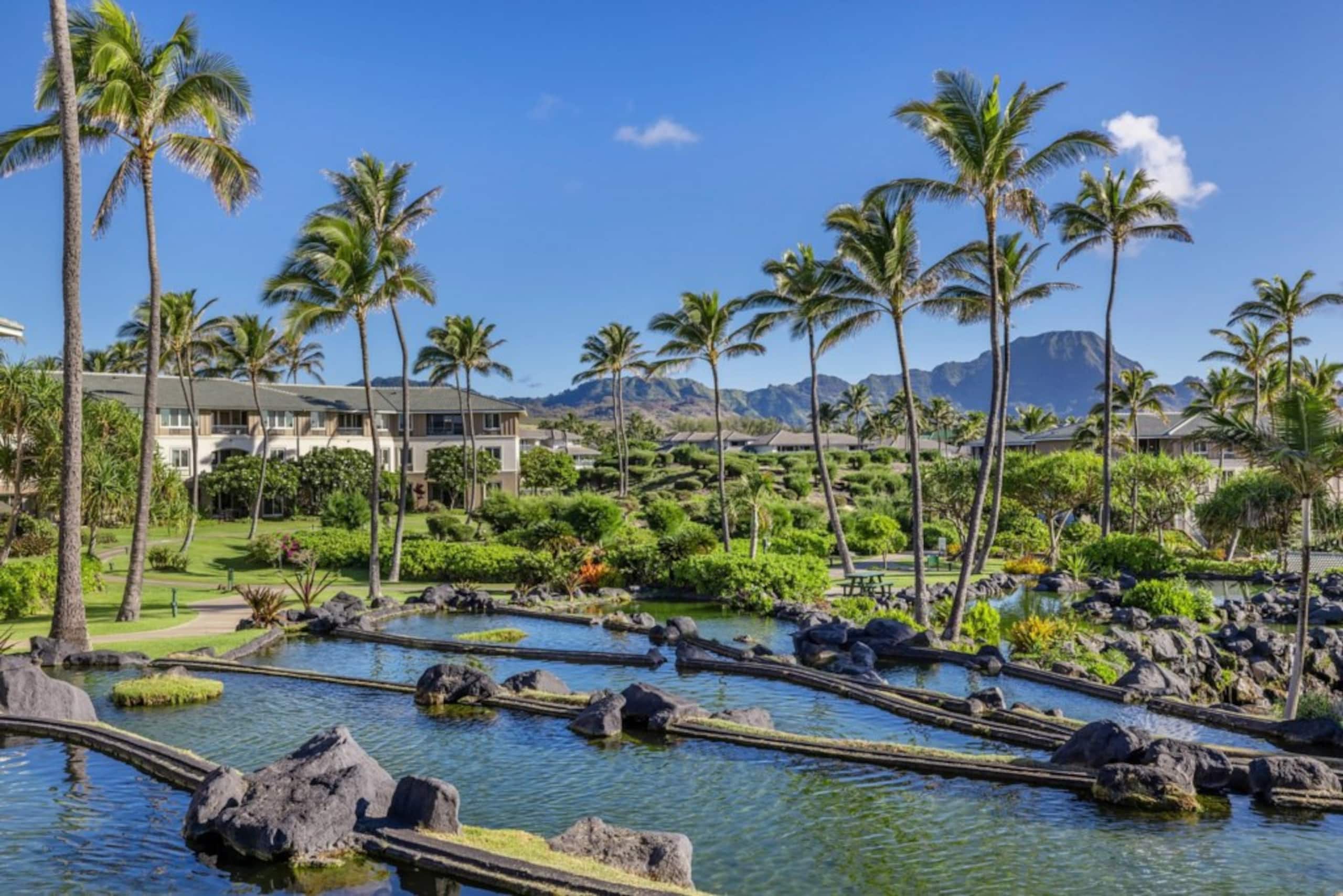 The Point At Poipu - 2 Bedroom Garden View - Photo 28
