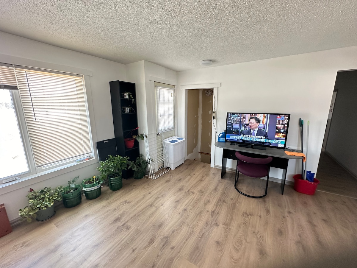 A bright living space features a large window, allowing natural light to fill the room. A television sits on a stand near a burgundy chair, while green plants are arranged in pots against the walls, adding a touch of nature to the ambiance.