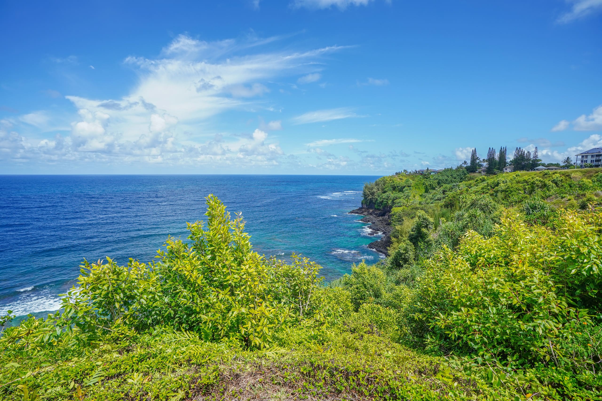 Our little heaven in Princeville - Image 33