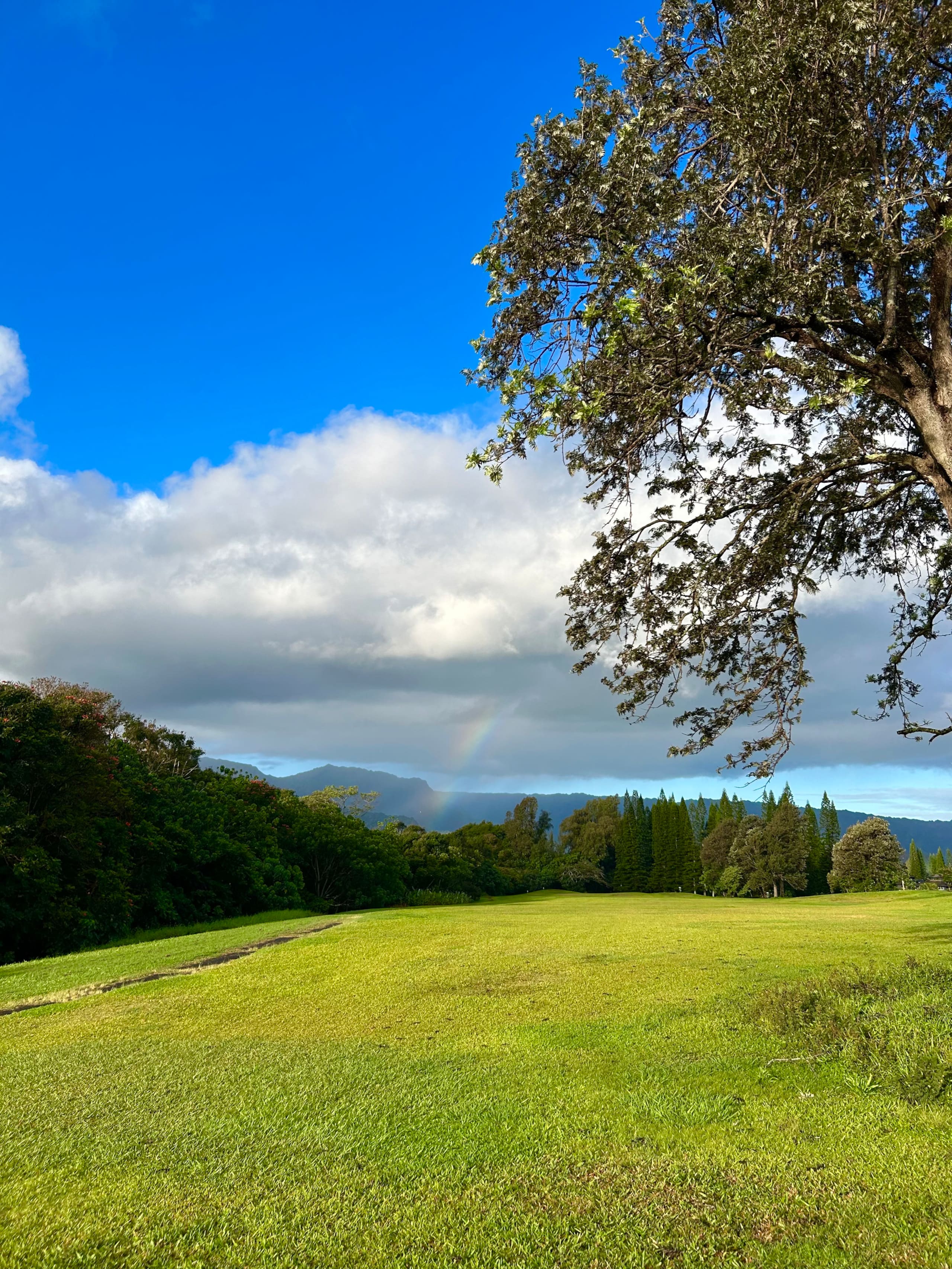Home in Princeville · ★4.79 · 3 bedrooms · 3 beds · 2 baths - Image 20