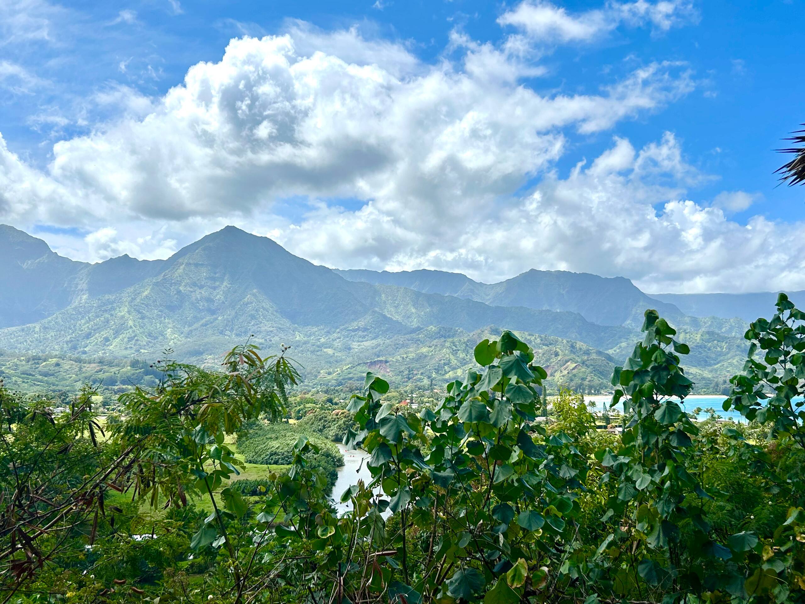 Home in Princeville · ★4.79 · 3 bedrooms · 3 beds · 2 baths - Image 39