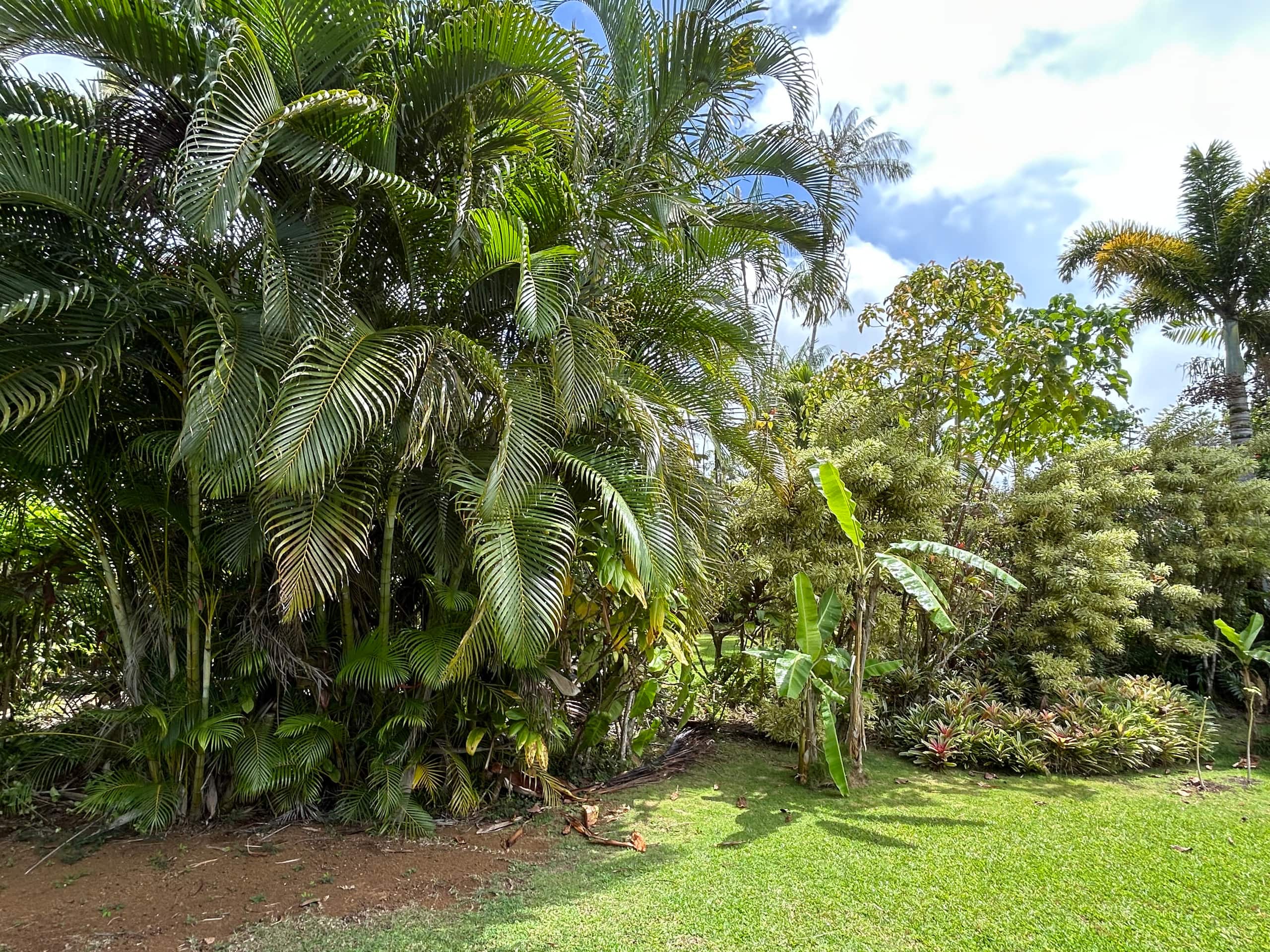 Home in Princeville · ★4.79 · 3 bedrooms · 3 beds · 2 baths - Image 24
