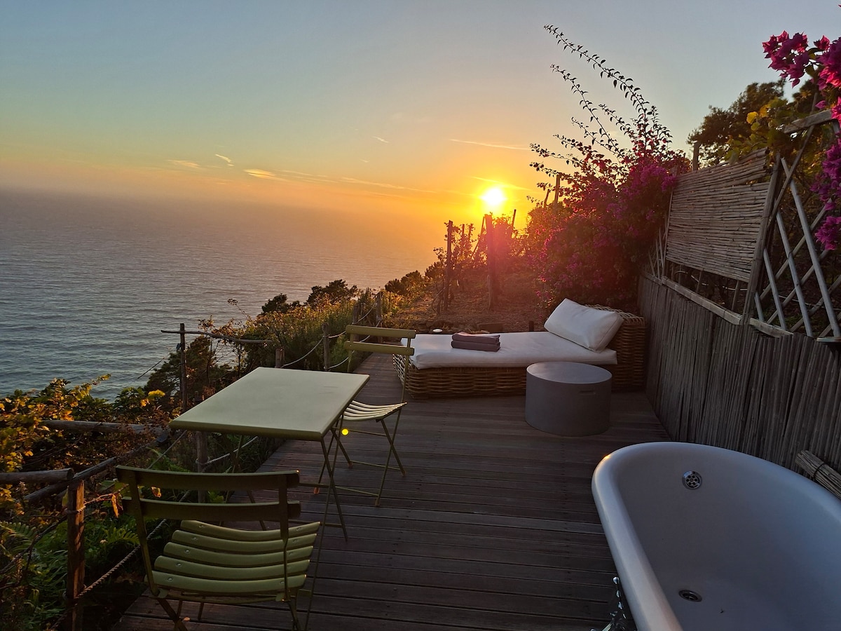 UWAbio 5Terre Sea view eco lodge in a Vineyard - Cottages for Rent
