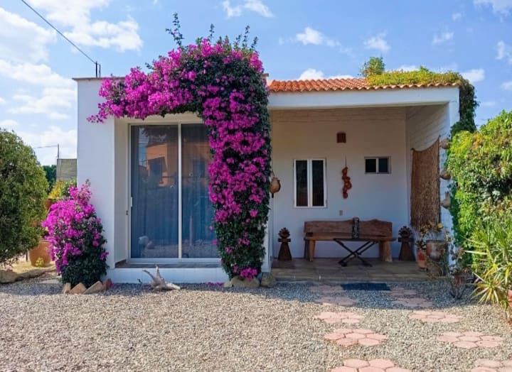 Dreamy Views, Gorgeous House, Beautiful Terrace