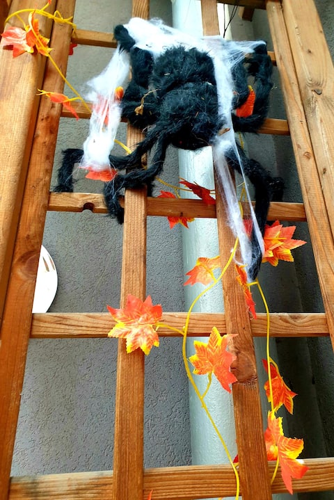 150 m² apartment 
10/12 people, PRM access, Wi-Fi