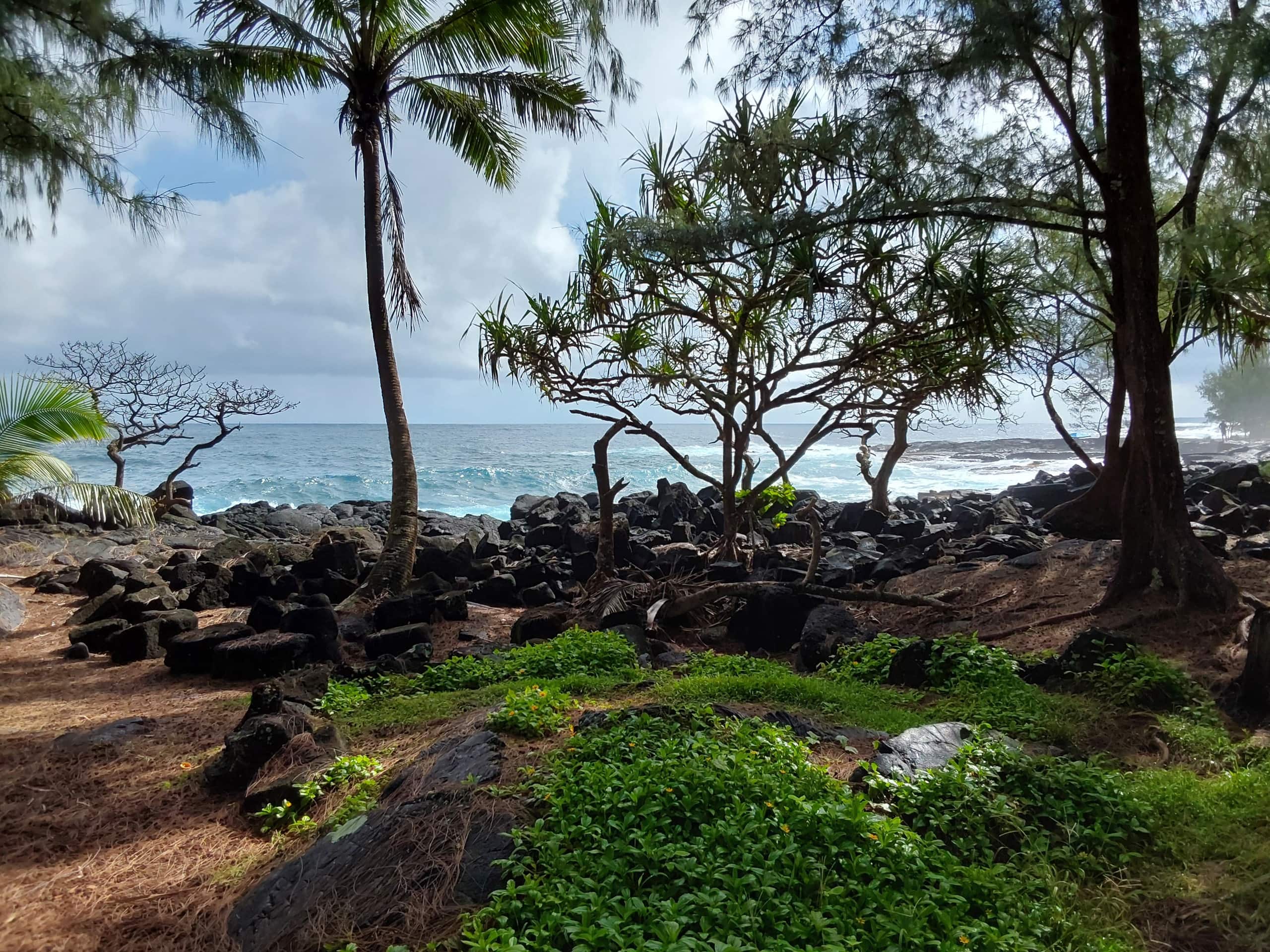 Home in Pahoa · ★4.33 · 1 bedroom · 1 bed · 1 shared bath - Image 11