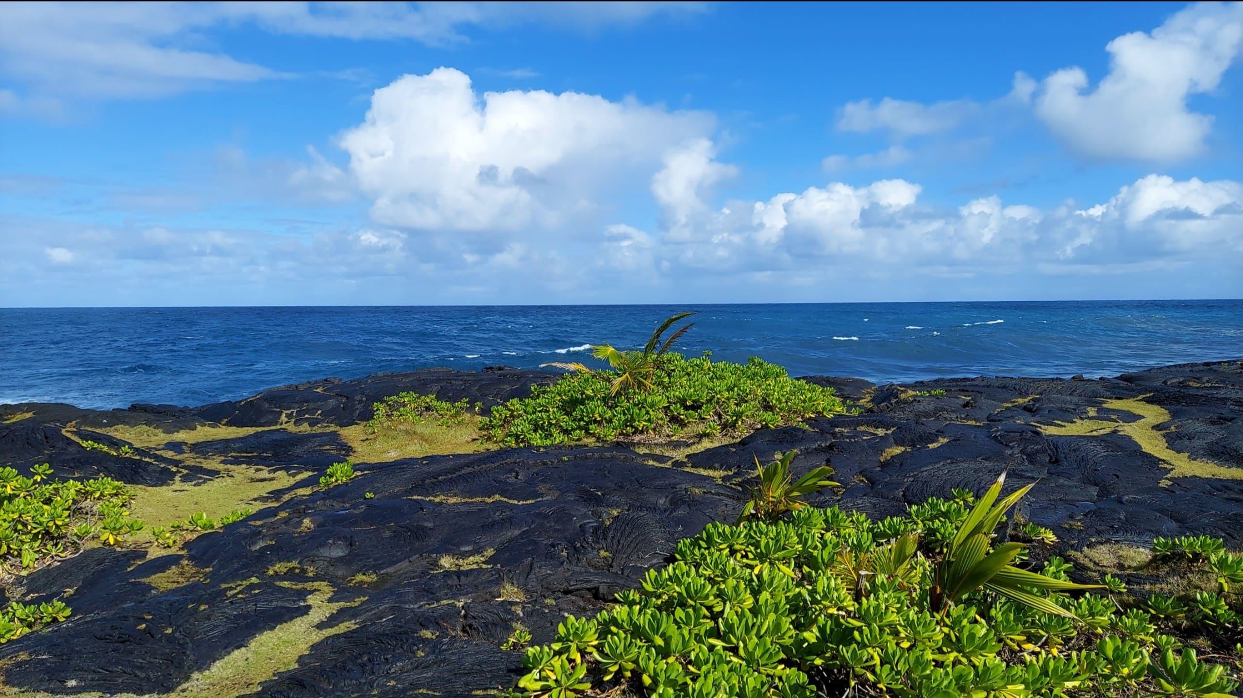 Home in Pahoa · ★4.33 · 1 bedroom · 1 bed · 1 shared bath - Image 19