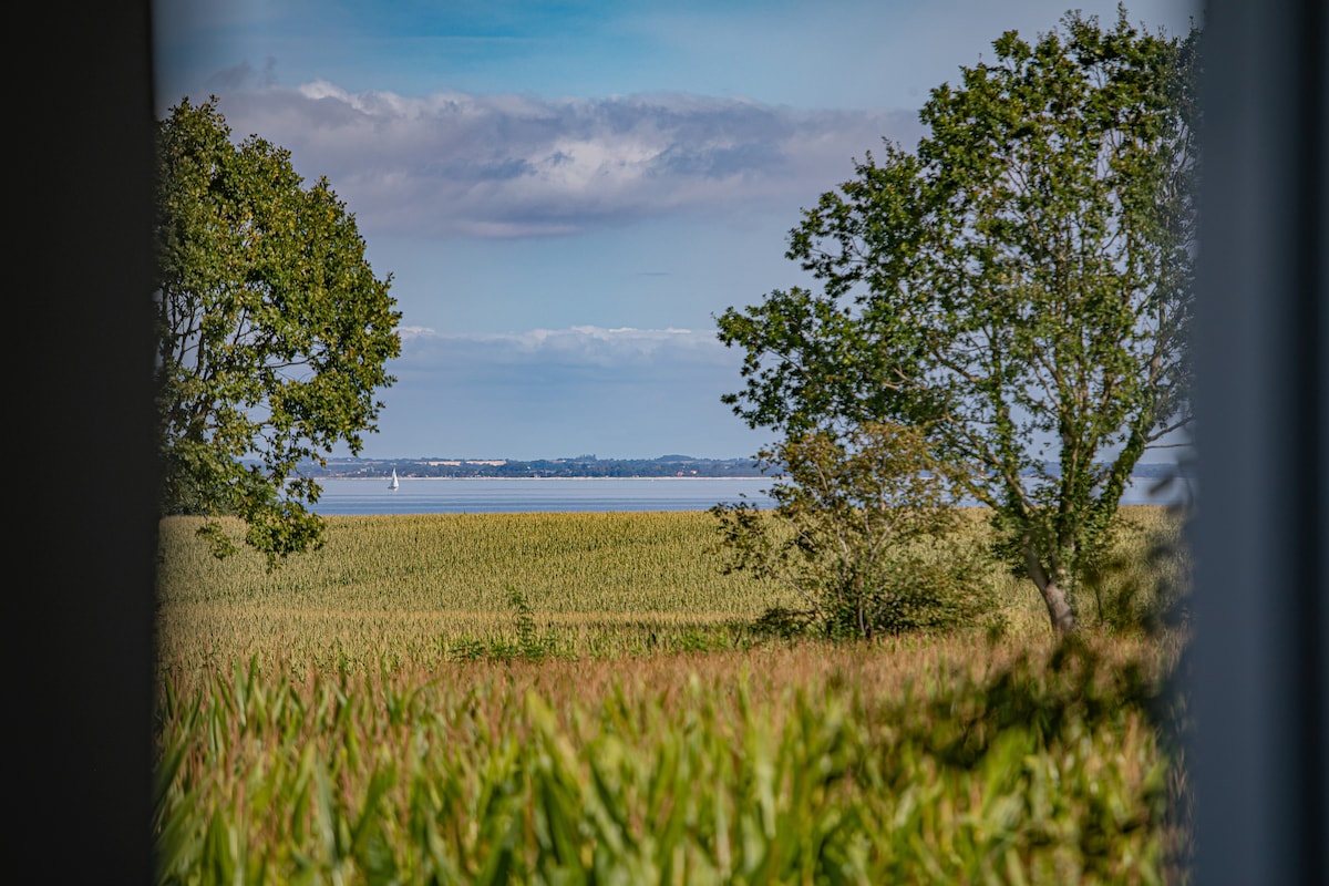 A view of the vast fields leading to the Ostsee can be seen through an opening, with a sailboat in the distance on the water. Lush green trees frame the scenery, enhancing the natural beauty of the landscape.