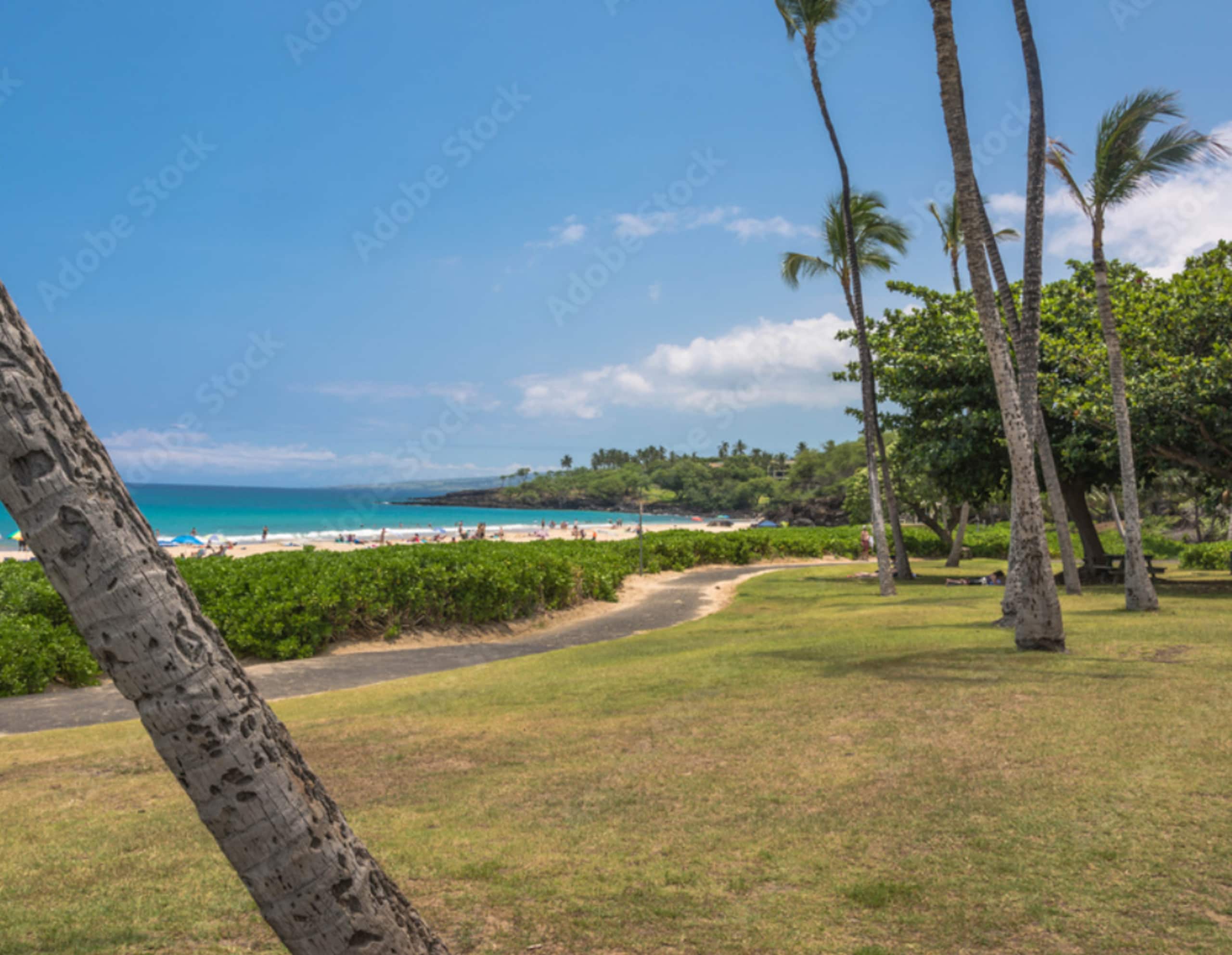 Townhouse in Waimea · ★5.0 · 2 bedrooms · 3 beds · 2 baths - Image 59