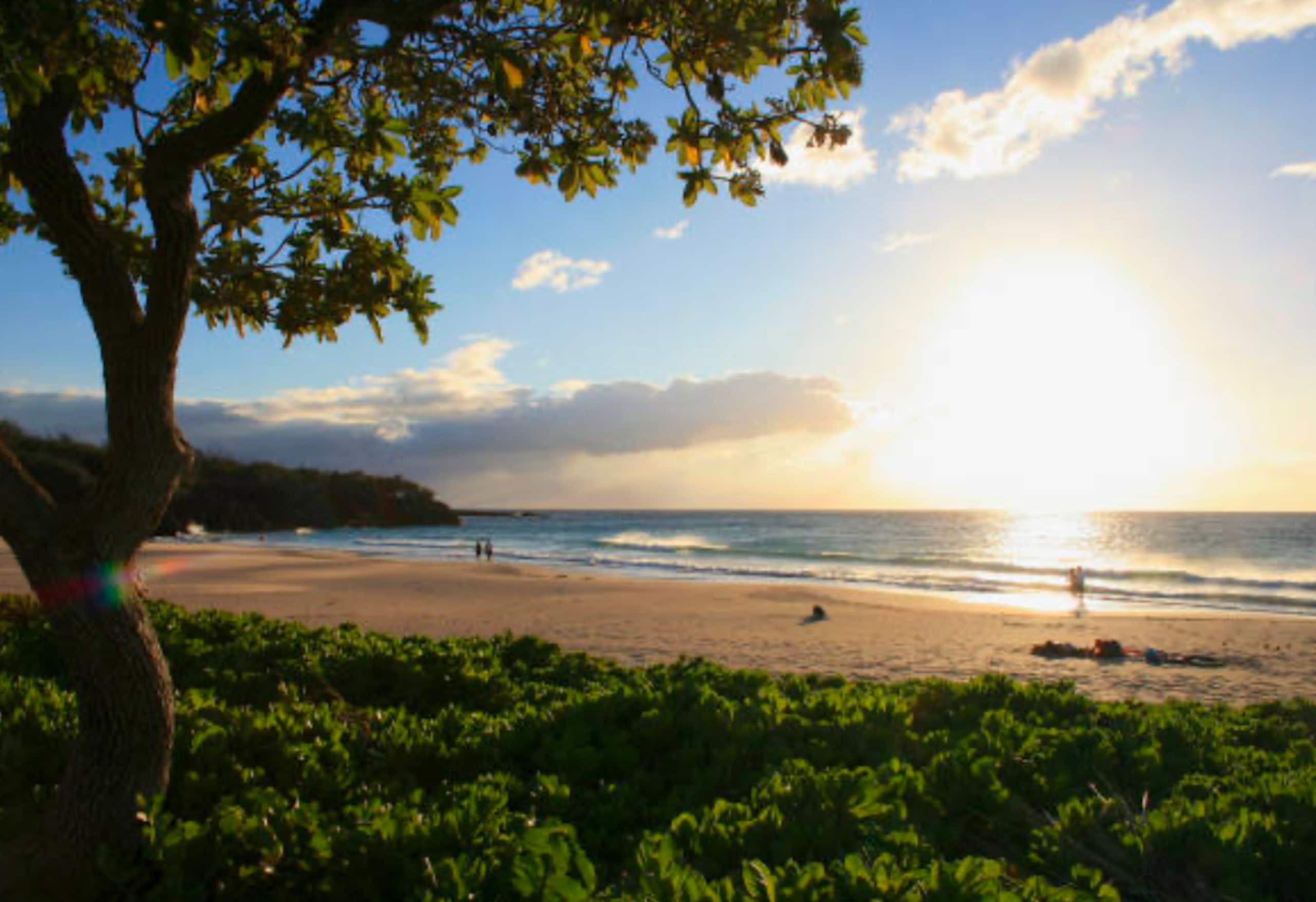 Townhouse in Waimea · ★5.0 · 2 bedrooms · 3 beds · 2 baths - Image 60