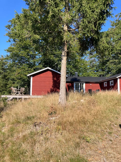 Exclusive relaxation with a view