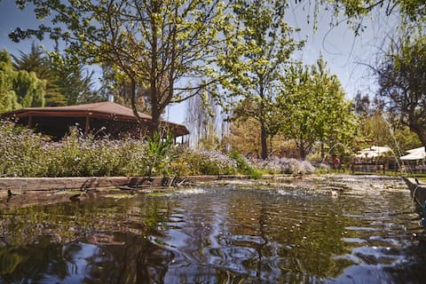 Spectacular Country House