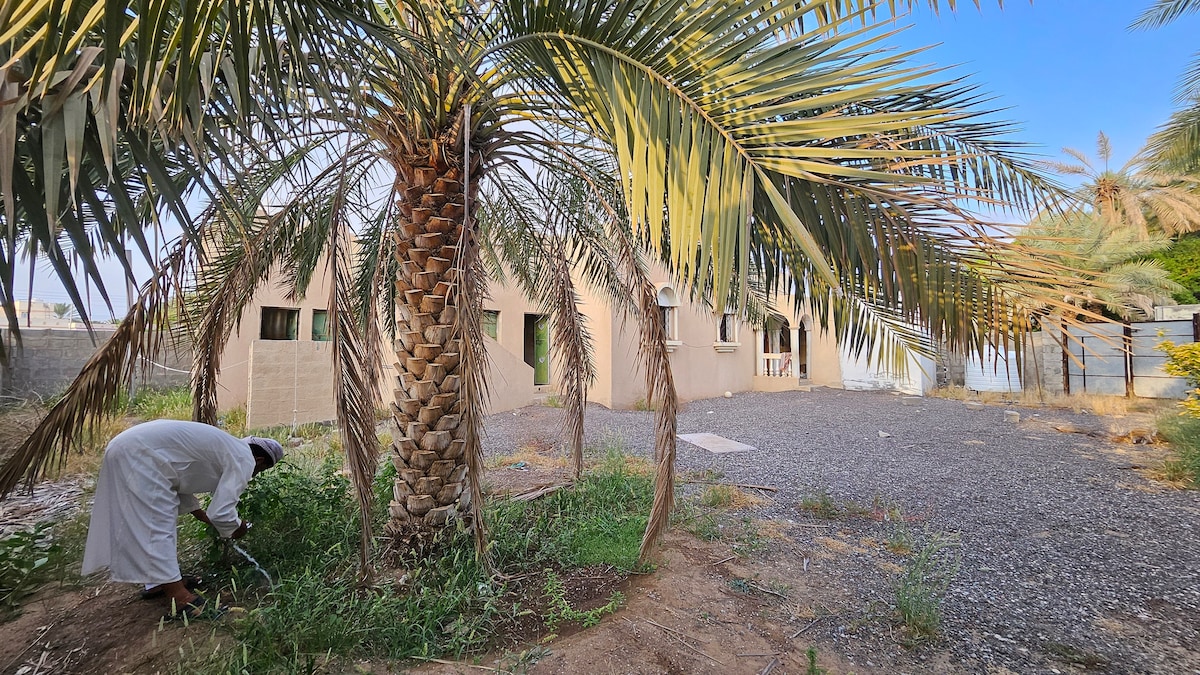 A tranquil outdoor area features a large palm tree with its fronds spreading wide. In the background, a simple building with multiple windows can be seen. A person is tending to the garden, surrounded by gravel and greenery.