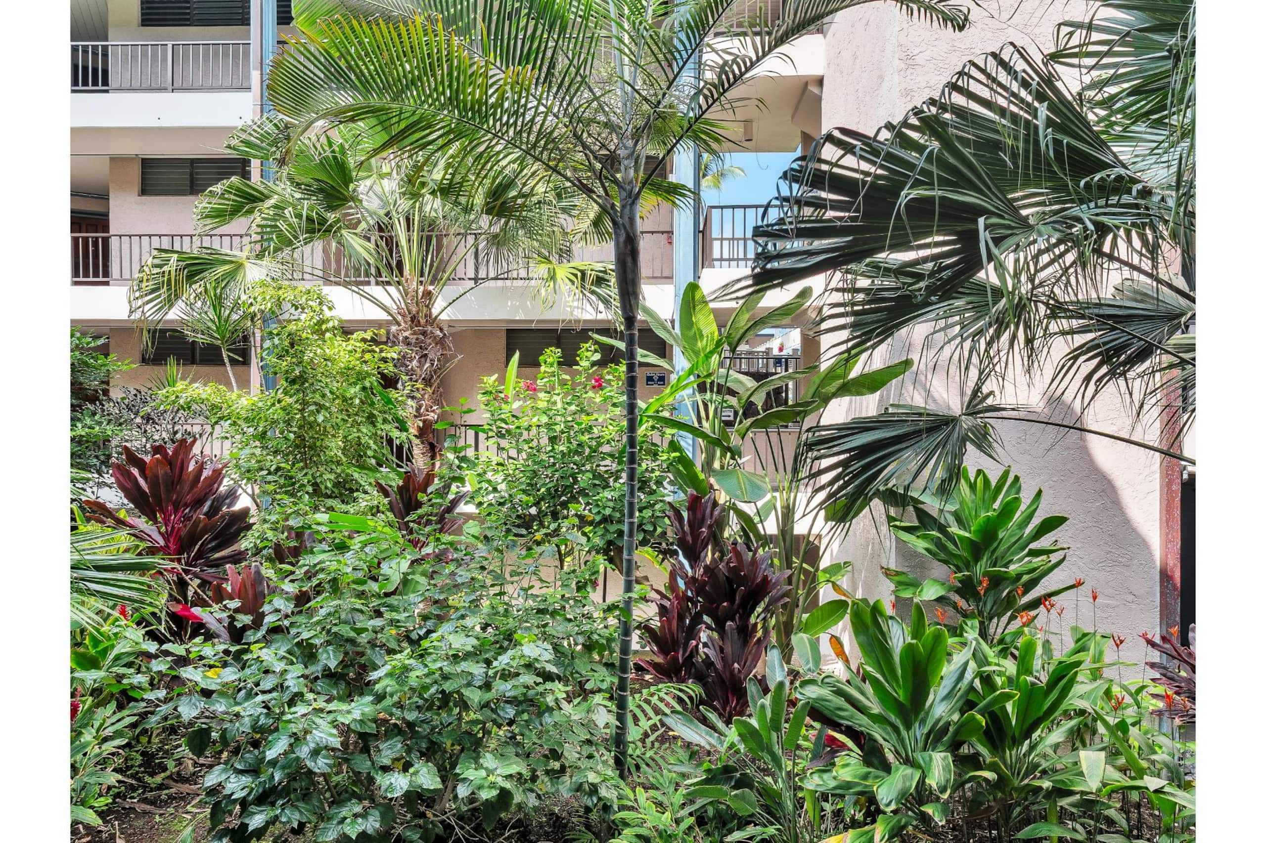 Condo in Kailua-Kona · ★5.0 · 1 bedroom · 2 beds · 1 shared bath - Image 28