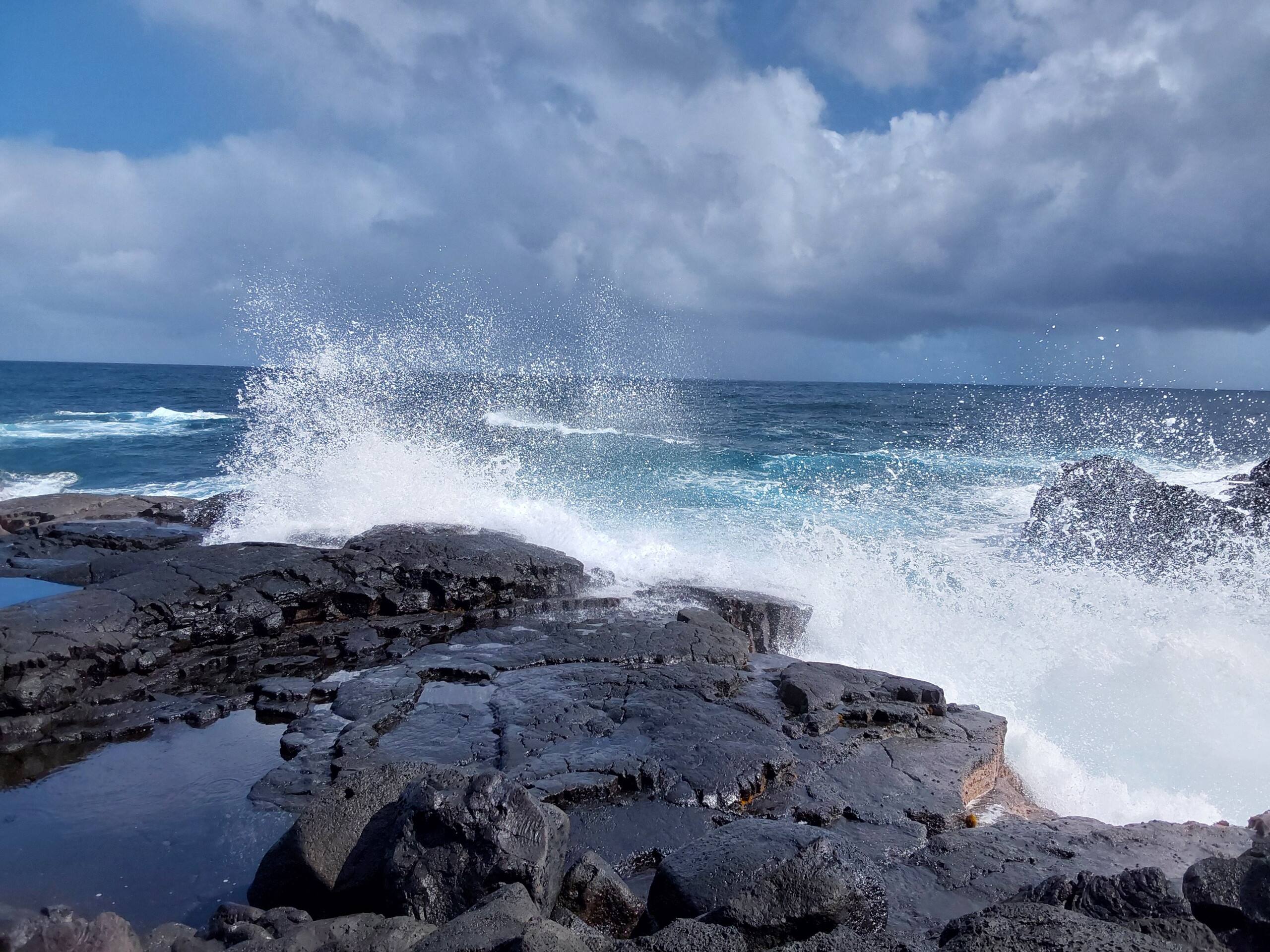 Home in Pahoa · ★5.0 · 1 bedroom · 1 bed · 1 private bath - Image 25