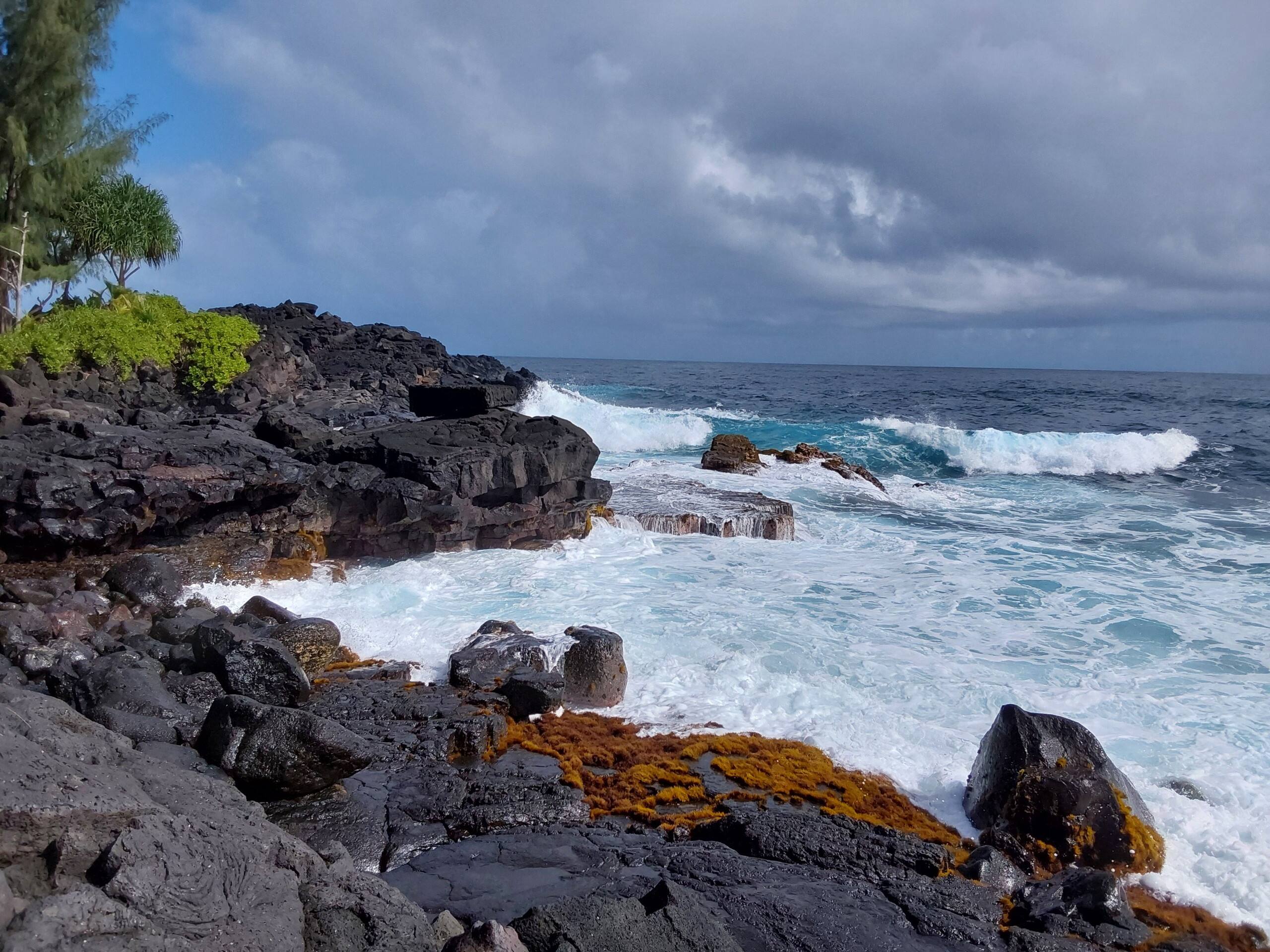 Home in Pahoa · ★5.0 · 1 bedroom · 1 bed · 1 private bath - Image 22