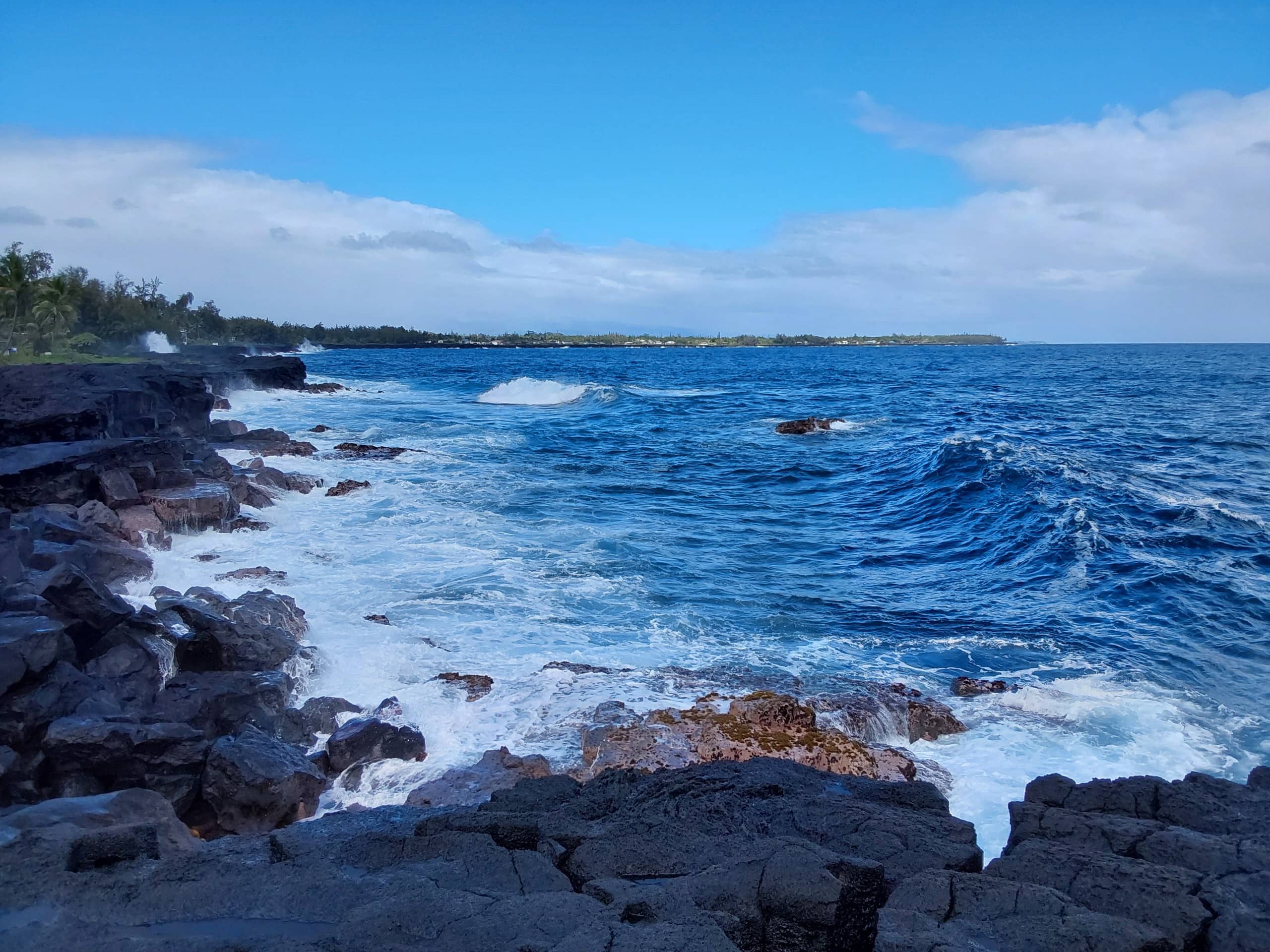 Home in Pahoa · ★5.0 · 1 bedroom · 1 bed · 1 private bath - Image 24